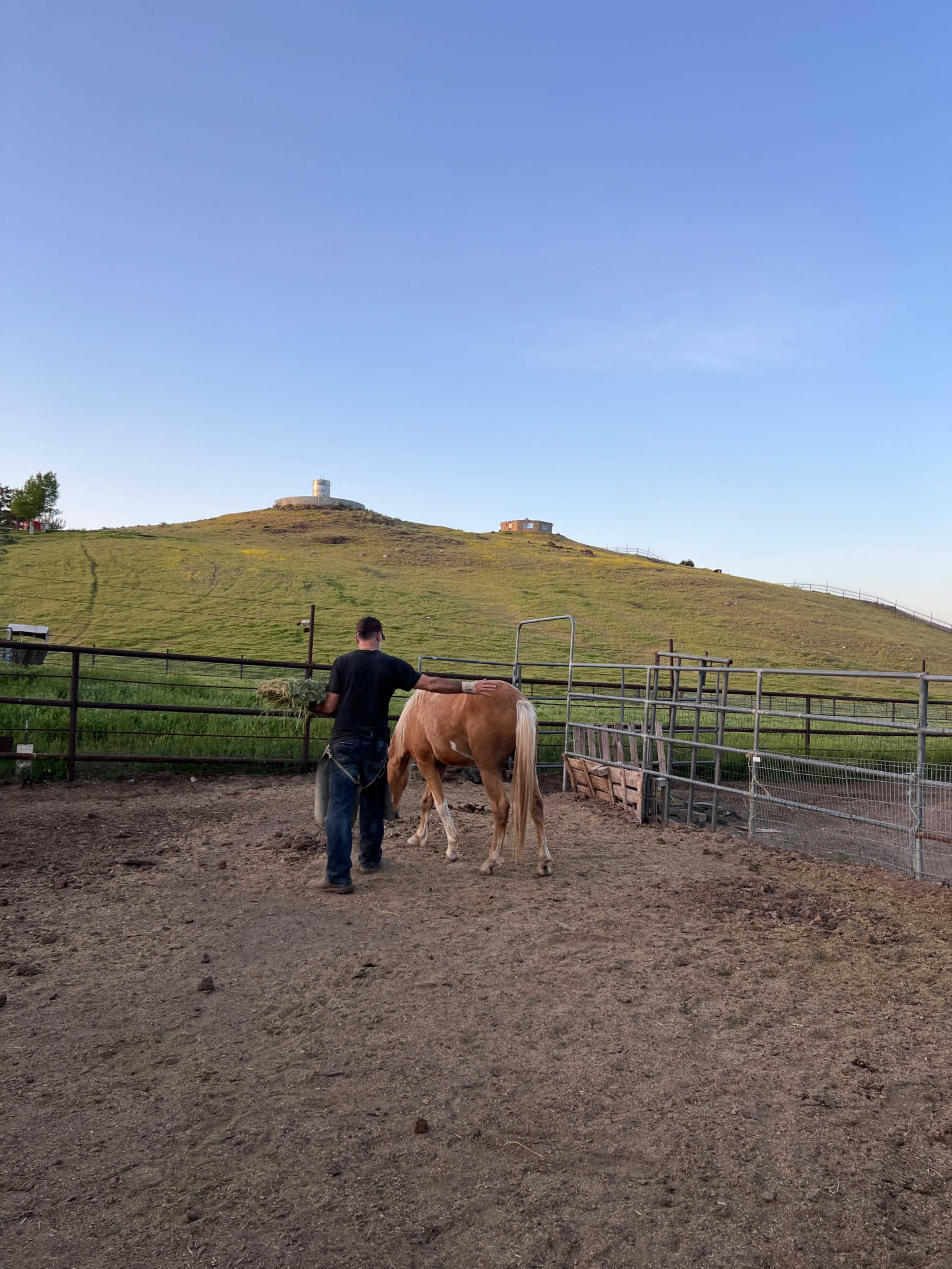 A person walks a horse in a fenced area with a grassy hill and two structures in the background.