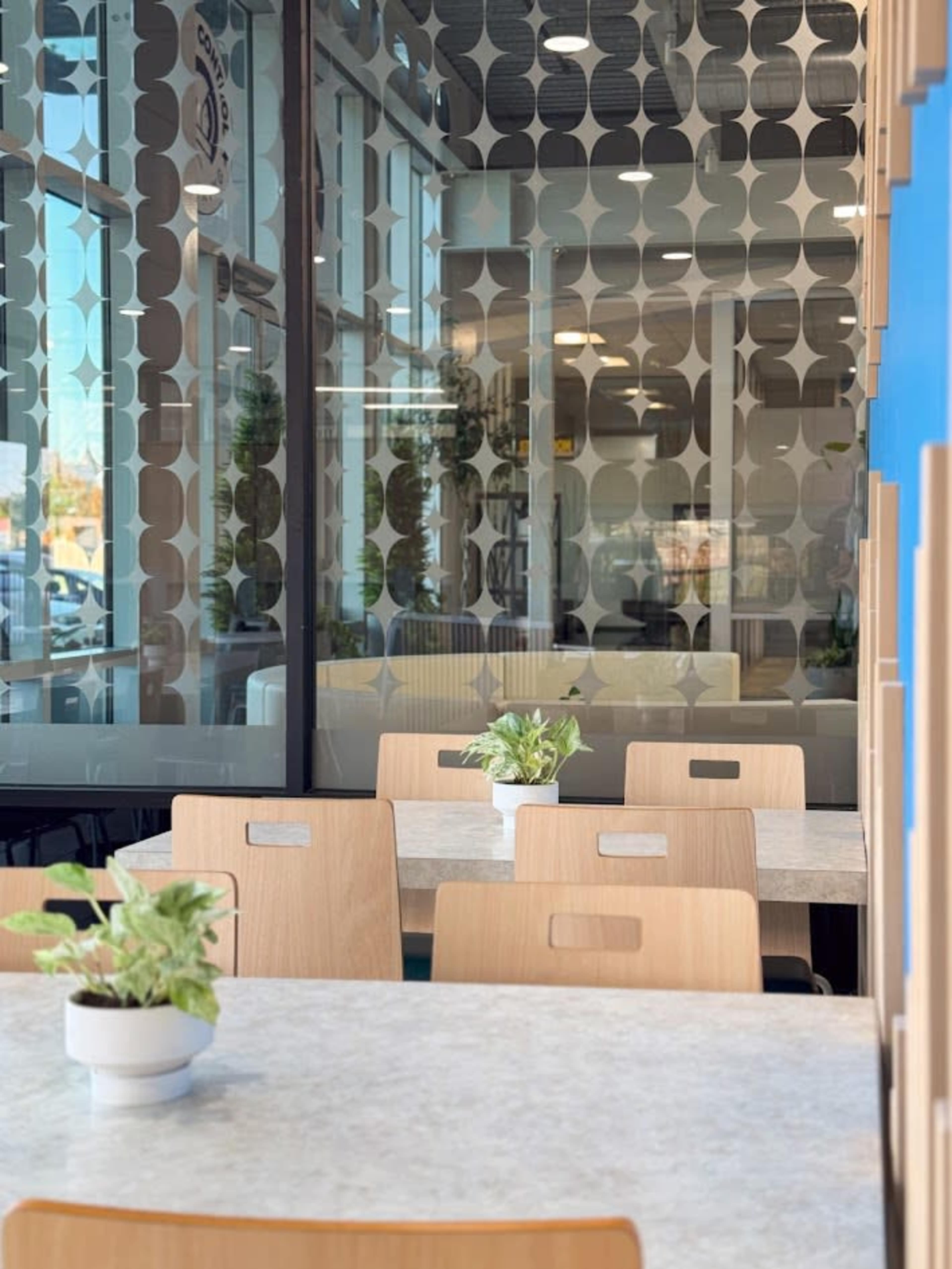The image shows a modern café interior with light wooden tables and chairs, decorated with potted plants, and large windows featuring patterned privacy film.