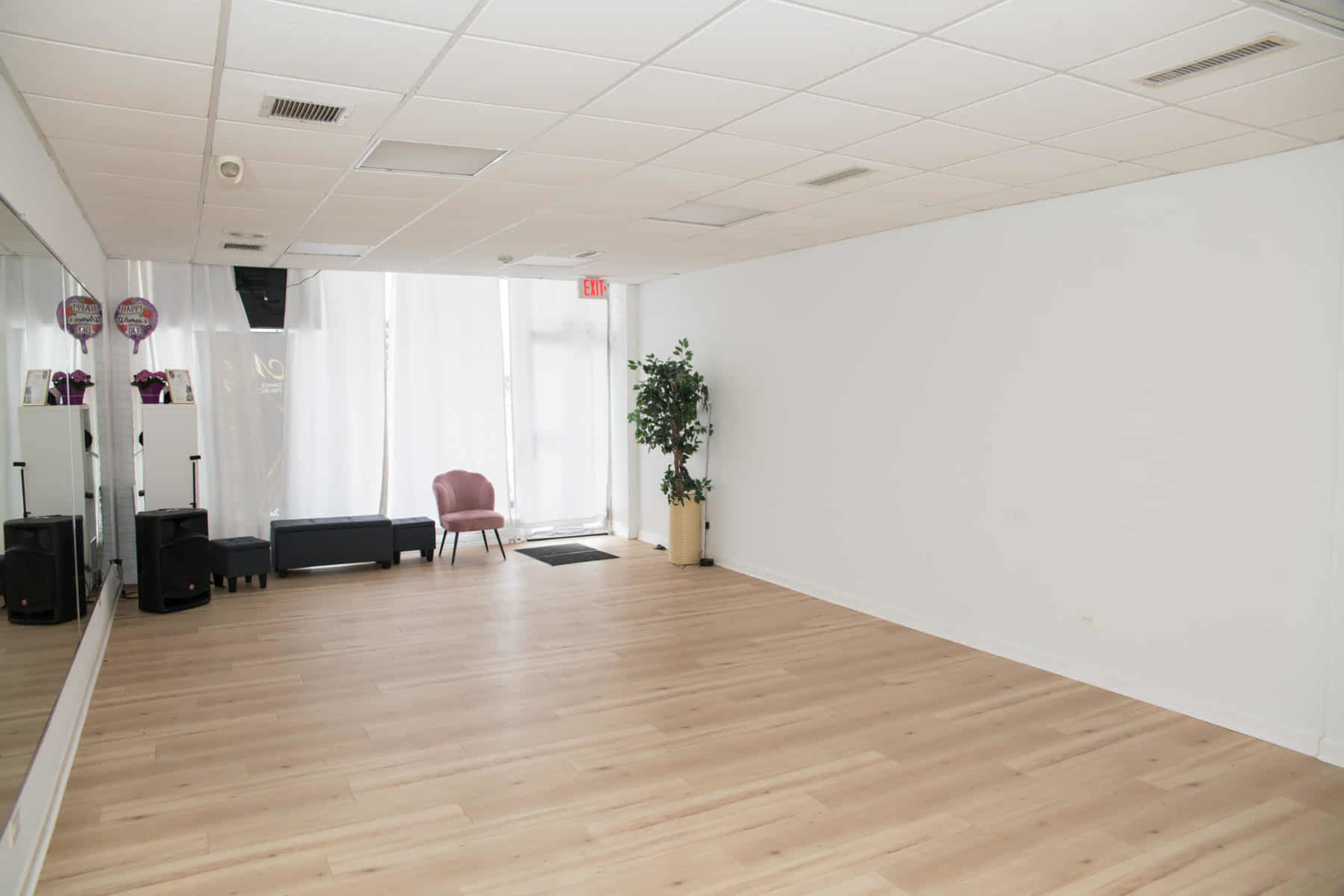 Affordable Dance Studio with Natural Light and Great Vibes Image in Elk Grove Township, Arlington Heights, IL