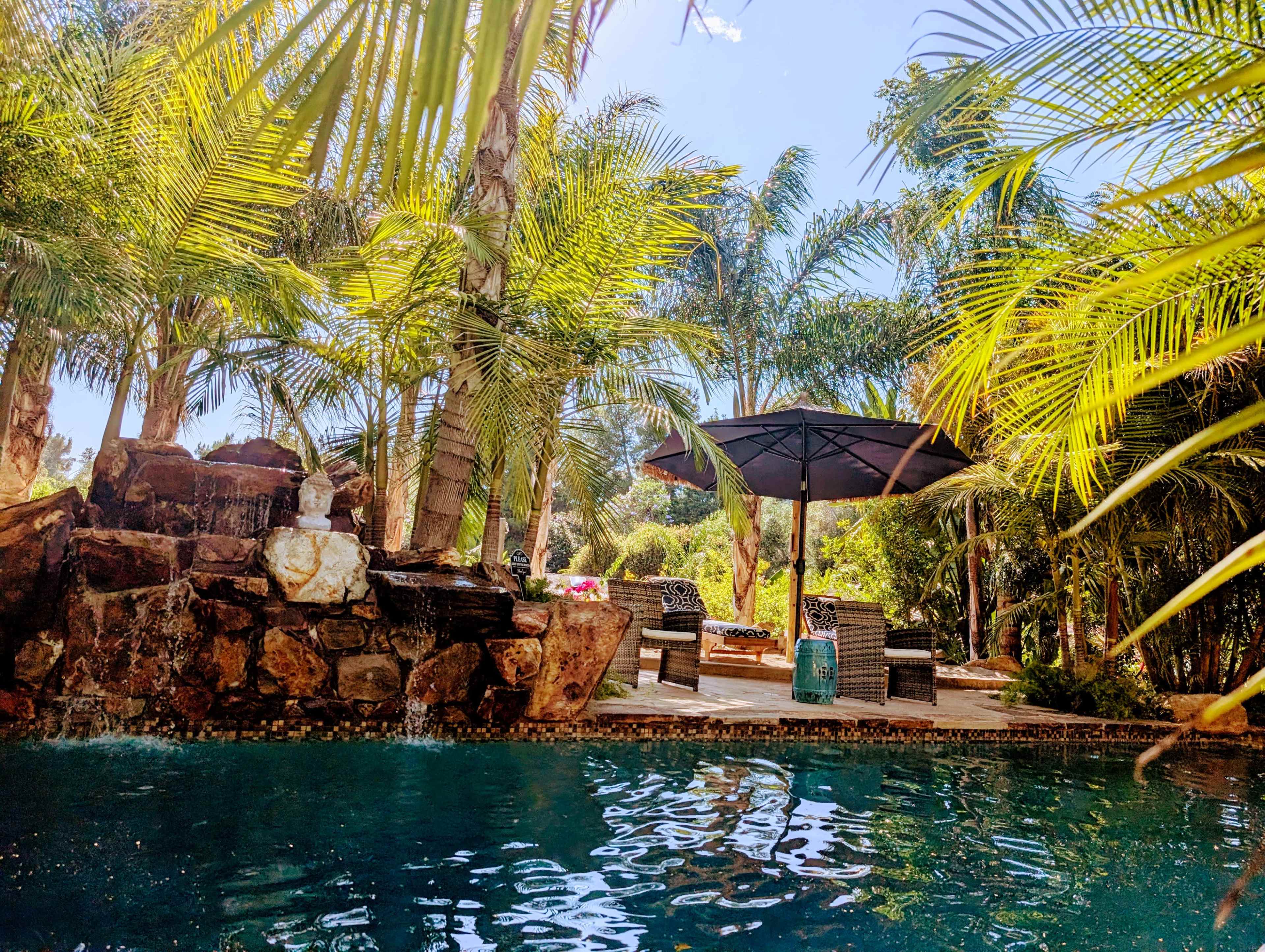 A turquoise pool is surrounded by palm trees and a sunshade on a wooden deck.