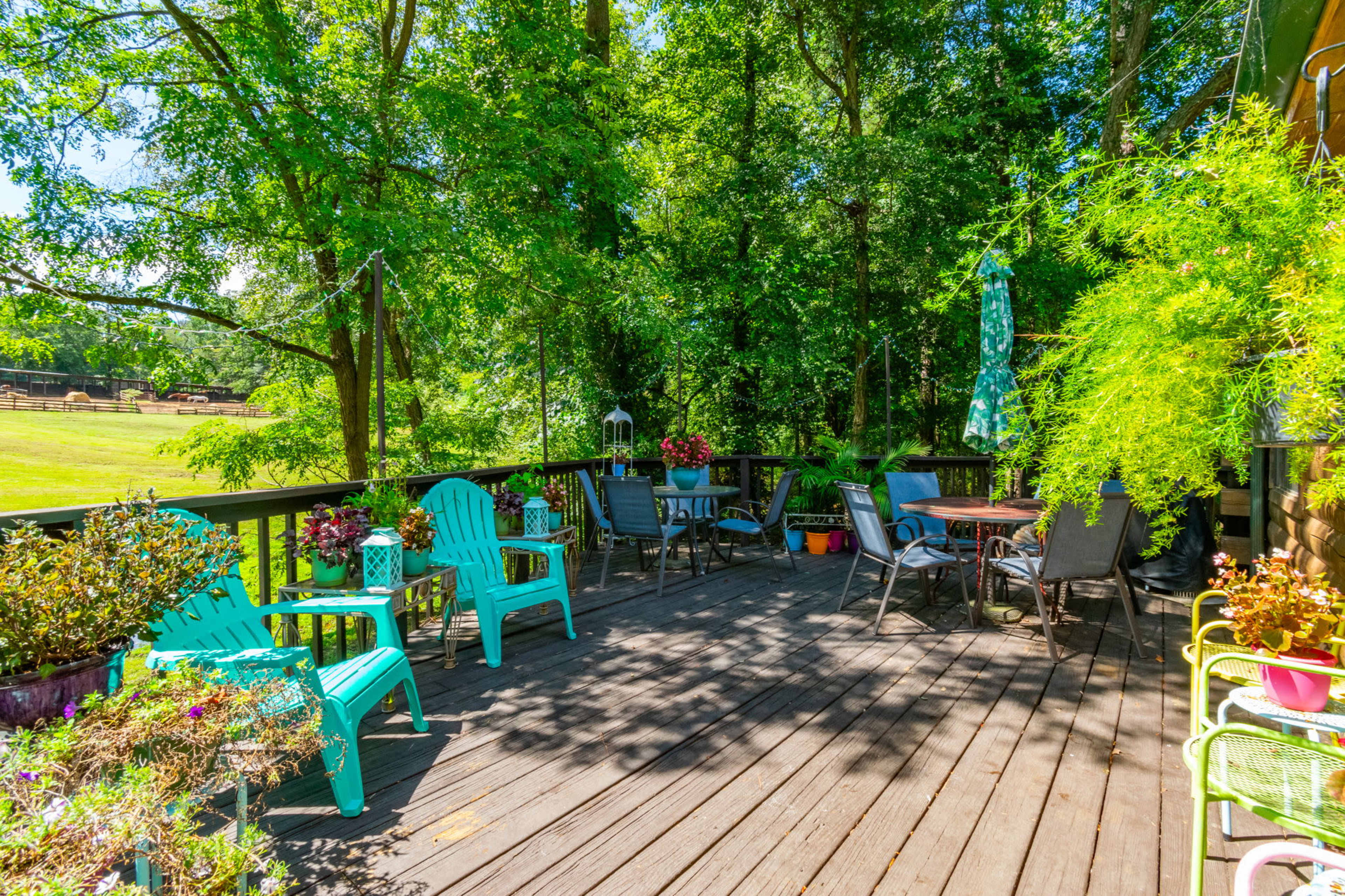 Cozy Log Cabin with Equestrian Ranch With Horses Image in , Ellenwood, GA