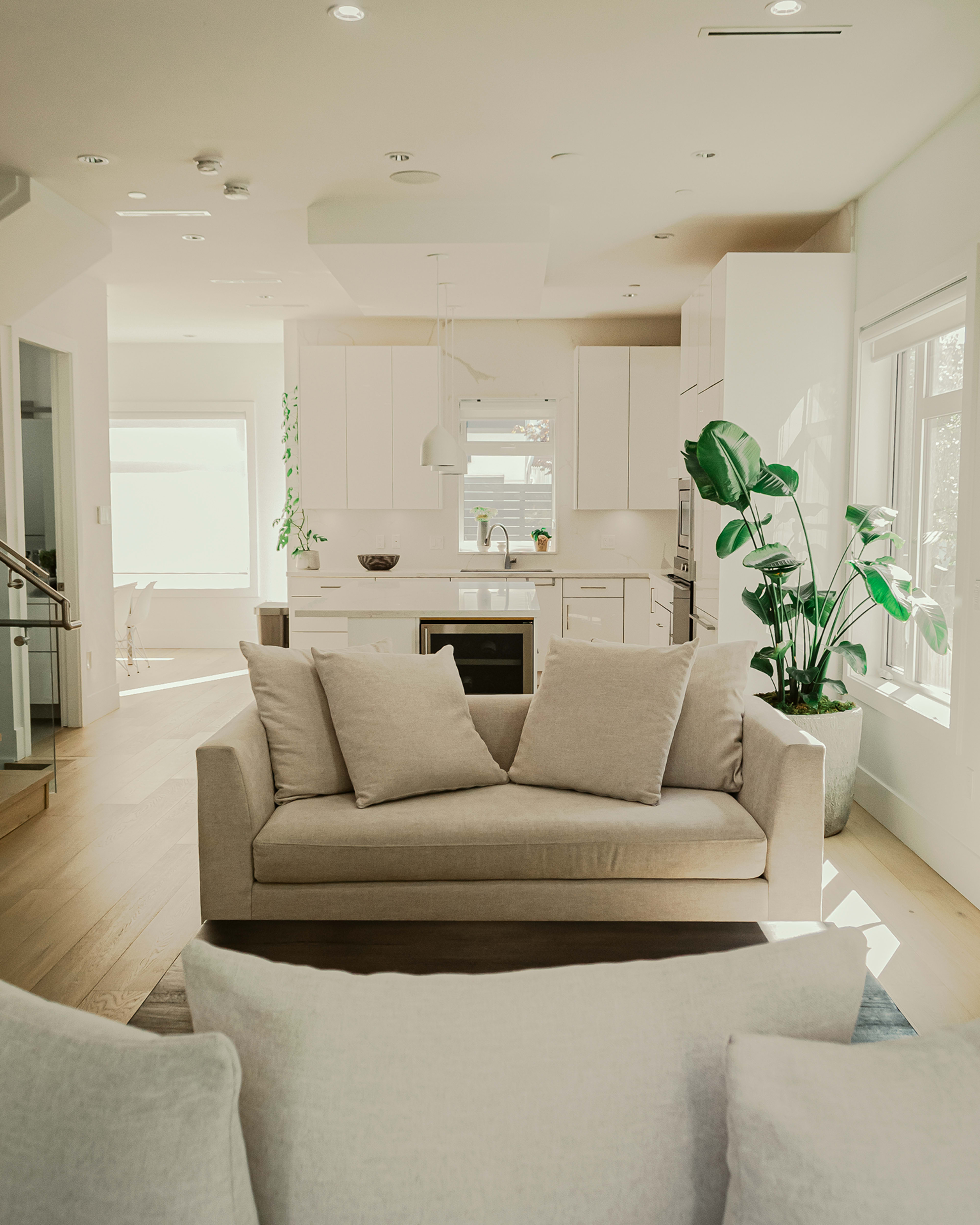 A light-filled living area features a beige sofa with three cushions, adjacent to a modern kitchen with white cabinetry and a large plant in the corner.