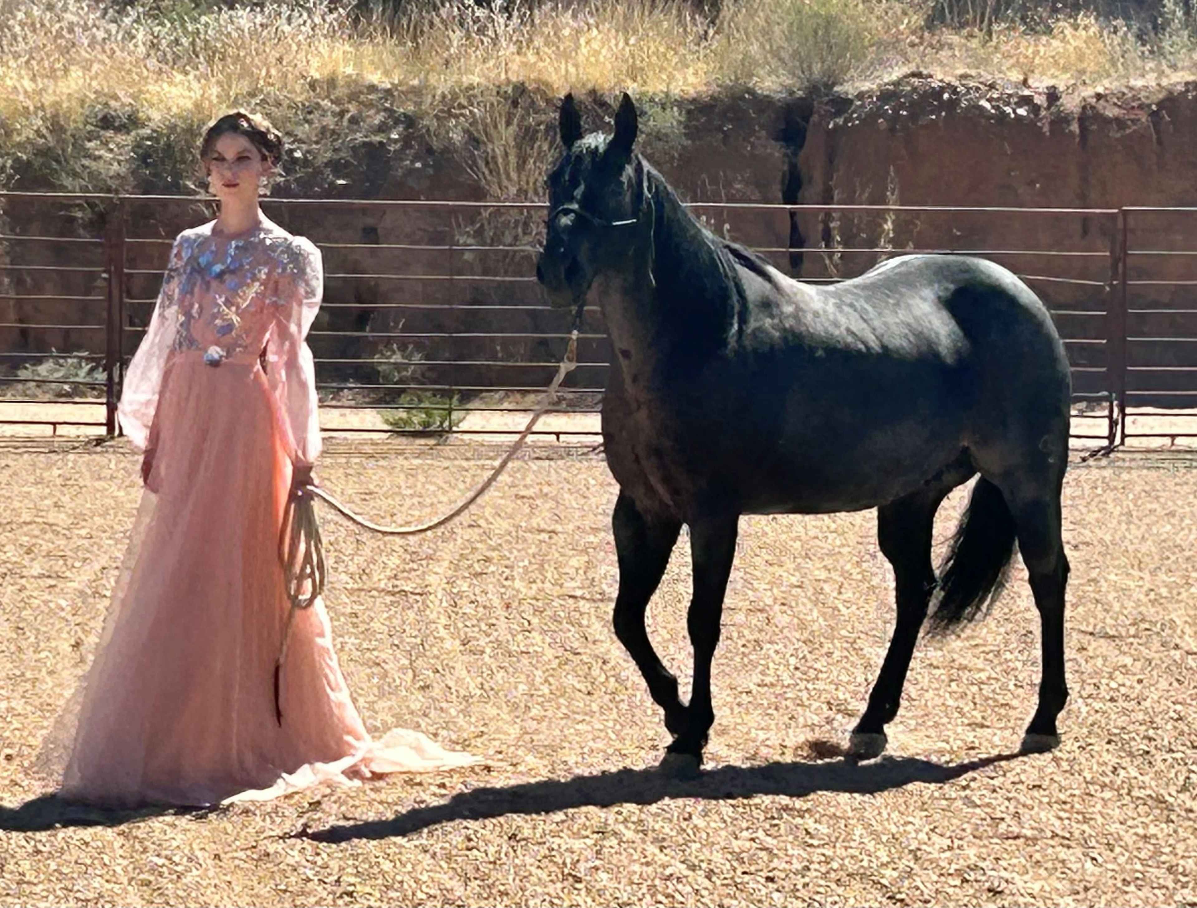 A woman in a pink dress leads a black horse in a sandy enclosed area.