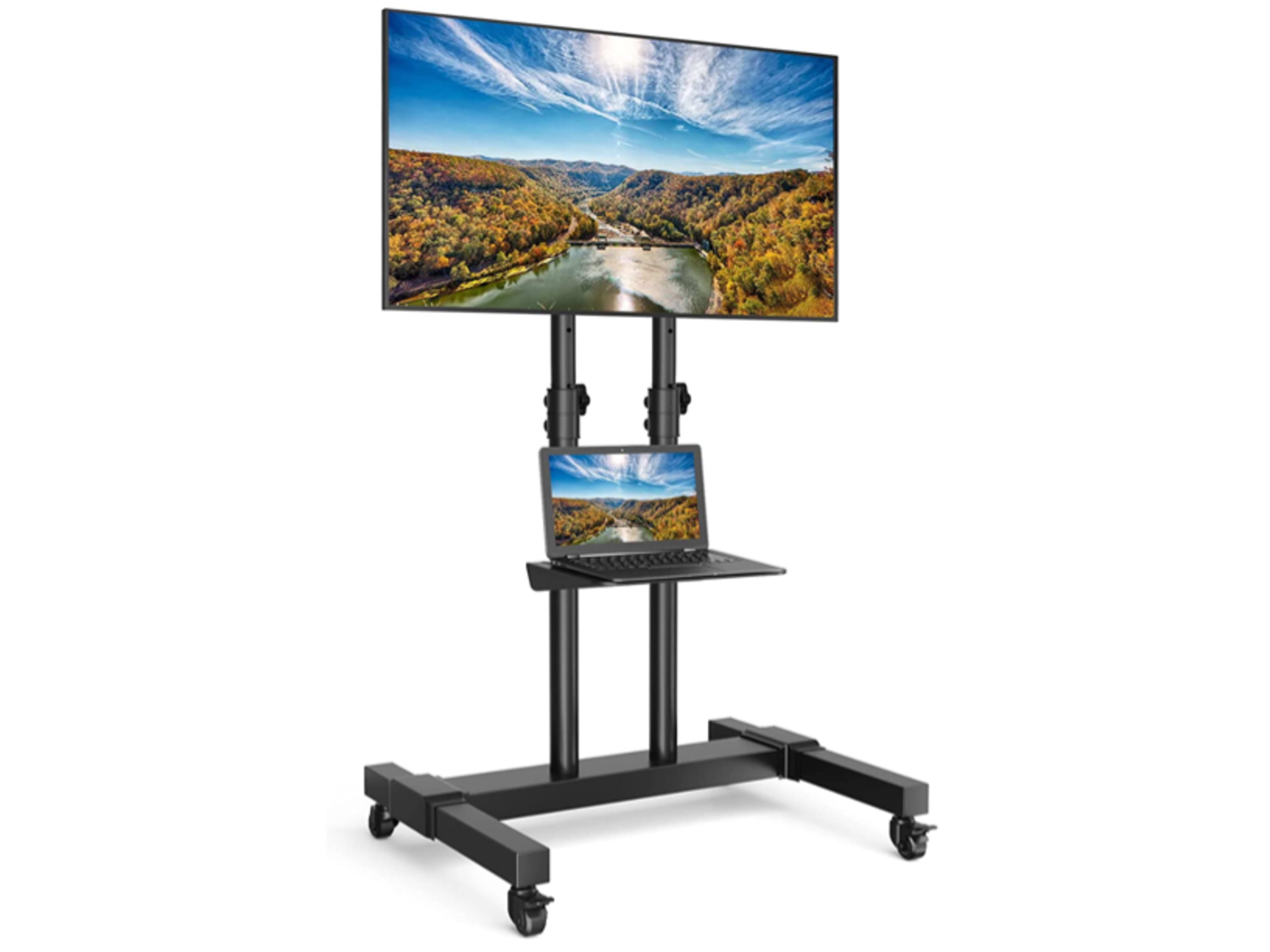 65" TV on a rolling stand