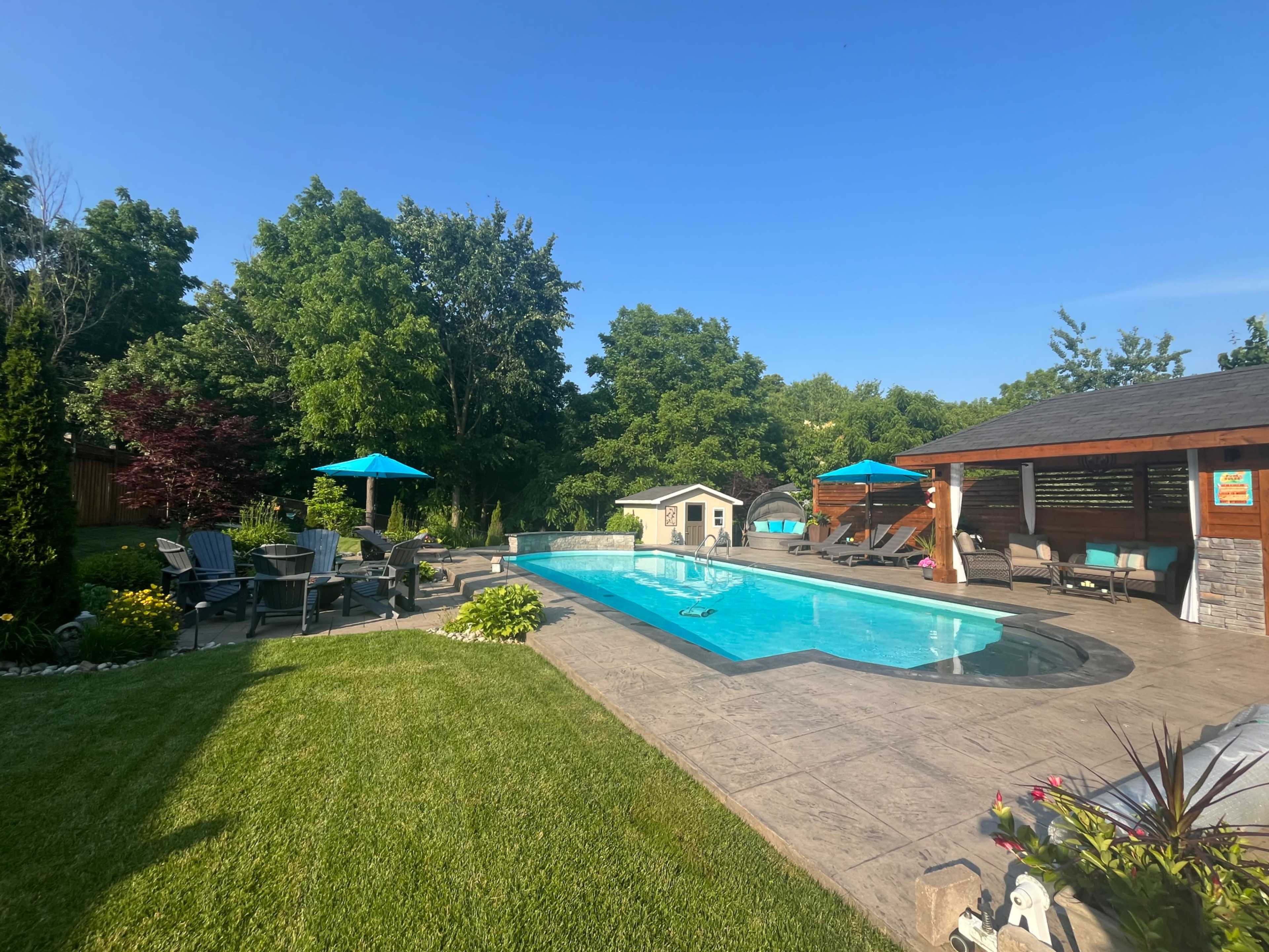 The image shows a well-maintained backyard pool area featuring a blue swimming pool, lounge chairs, umbrellas, and a small shed surrounded by lush greenery.