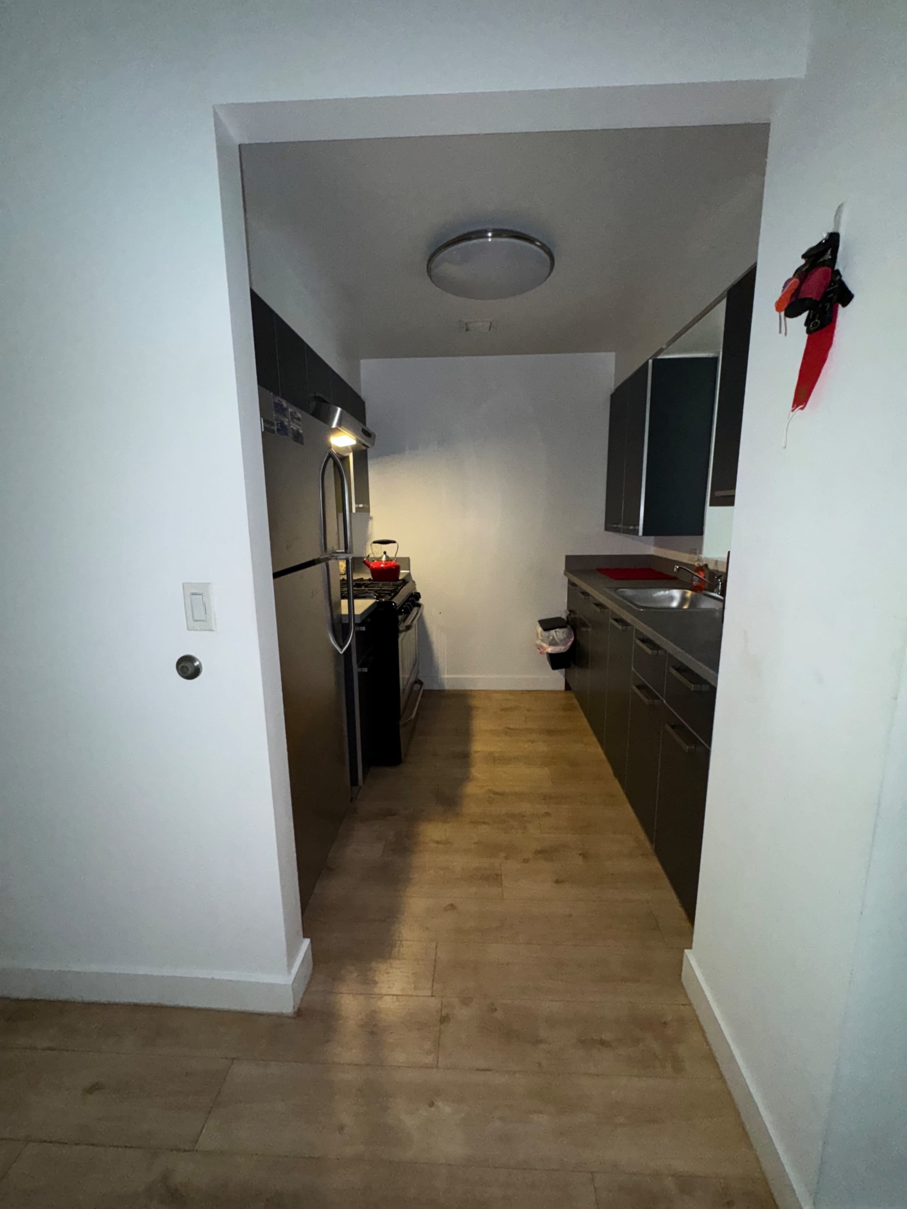 Minimalist Studio Apartment Image in Greenpoint, Brooklyn, NY