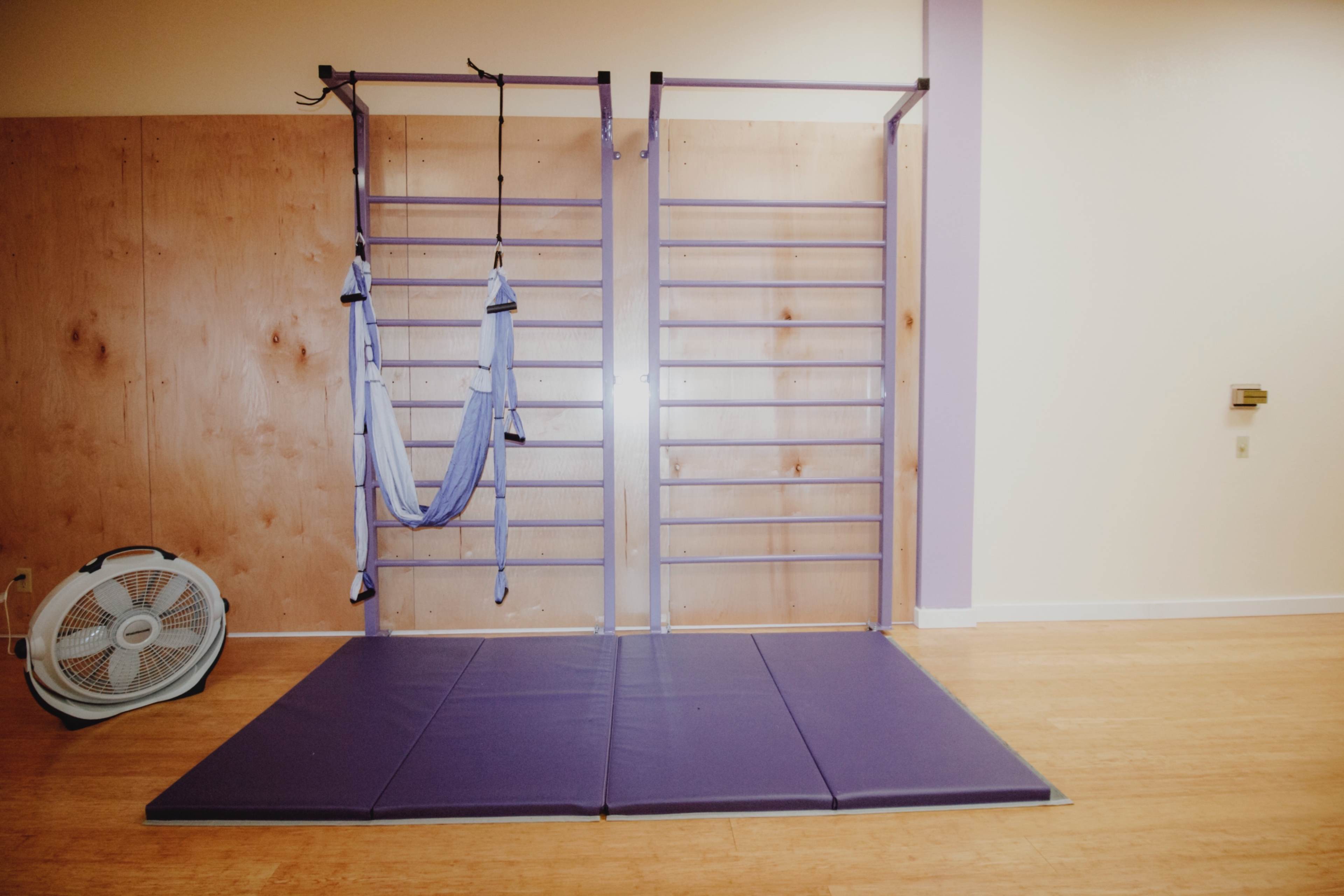 A gym space featuring a wall-mounted ladder structure, a suspension training system, and a padded mat on a wooden floor.