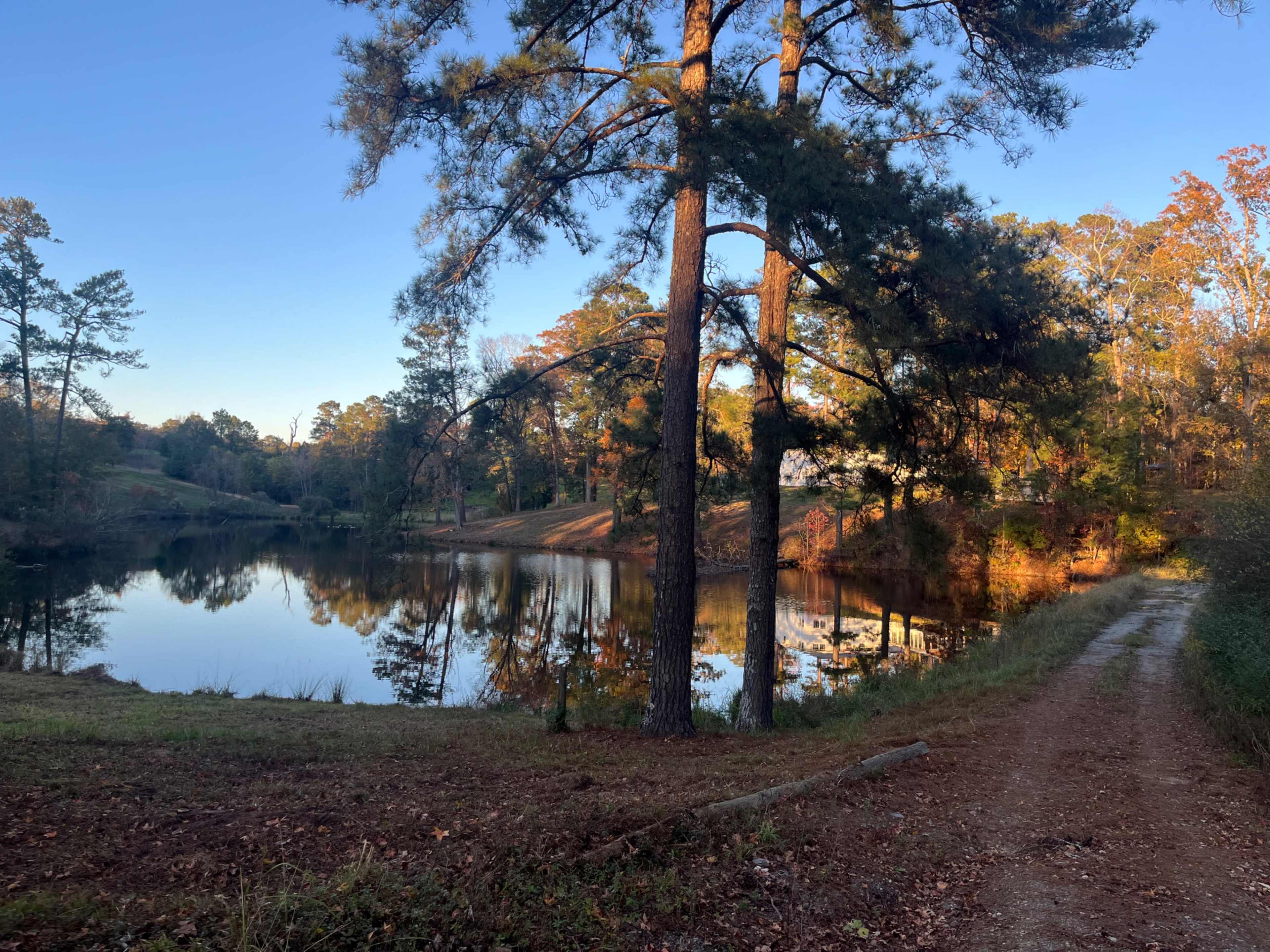 Country, Serene, Private, Renovated Farm House and horse stable on 20 acres with pond view and rolling hills Image in , Macon, GA