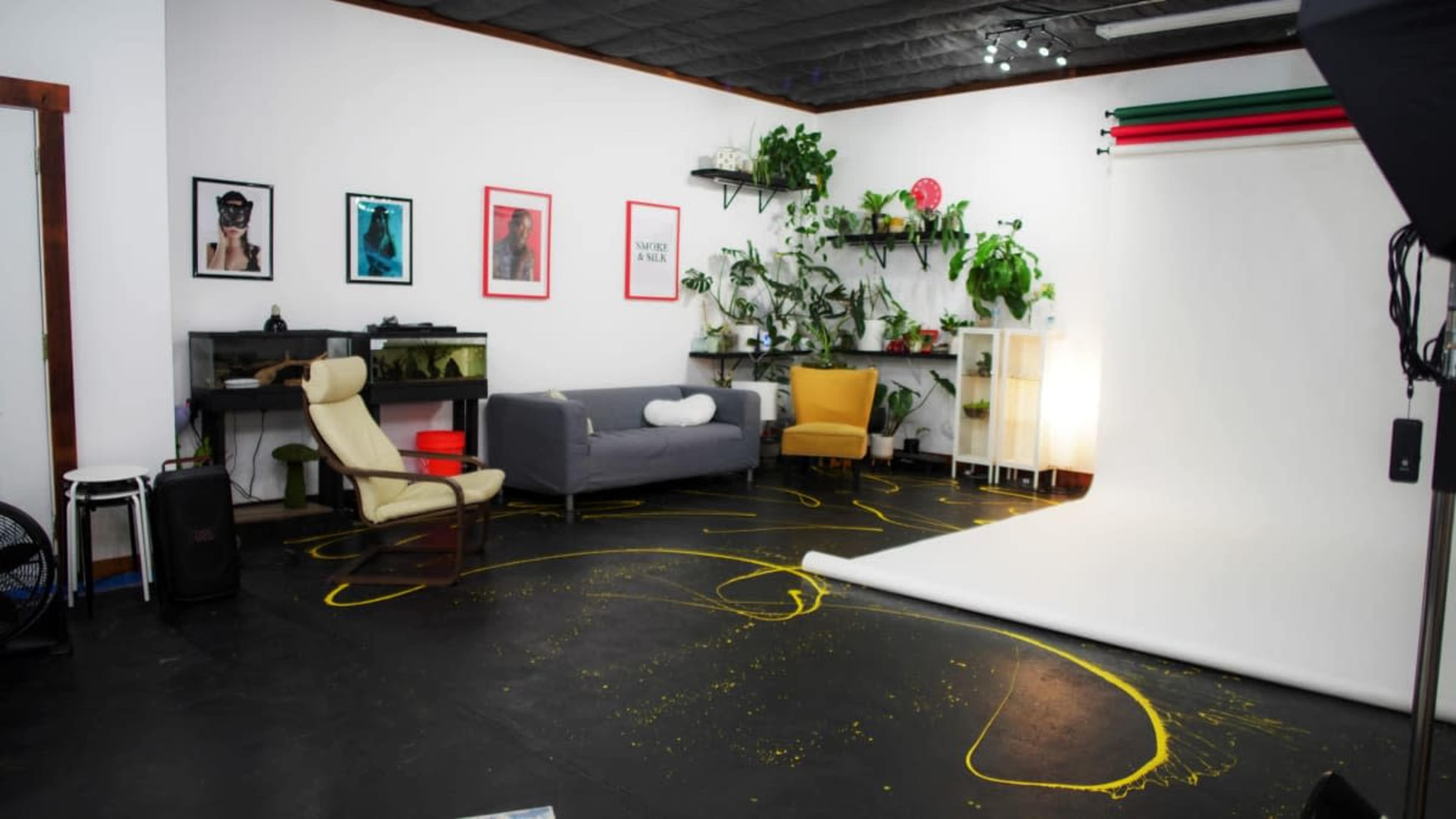 The image shows a photography studio with green and red backdrop supports, a gray couch, an armchair, potted plants, and various framed artworks on the walls.