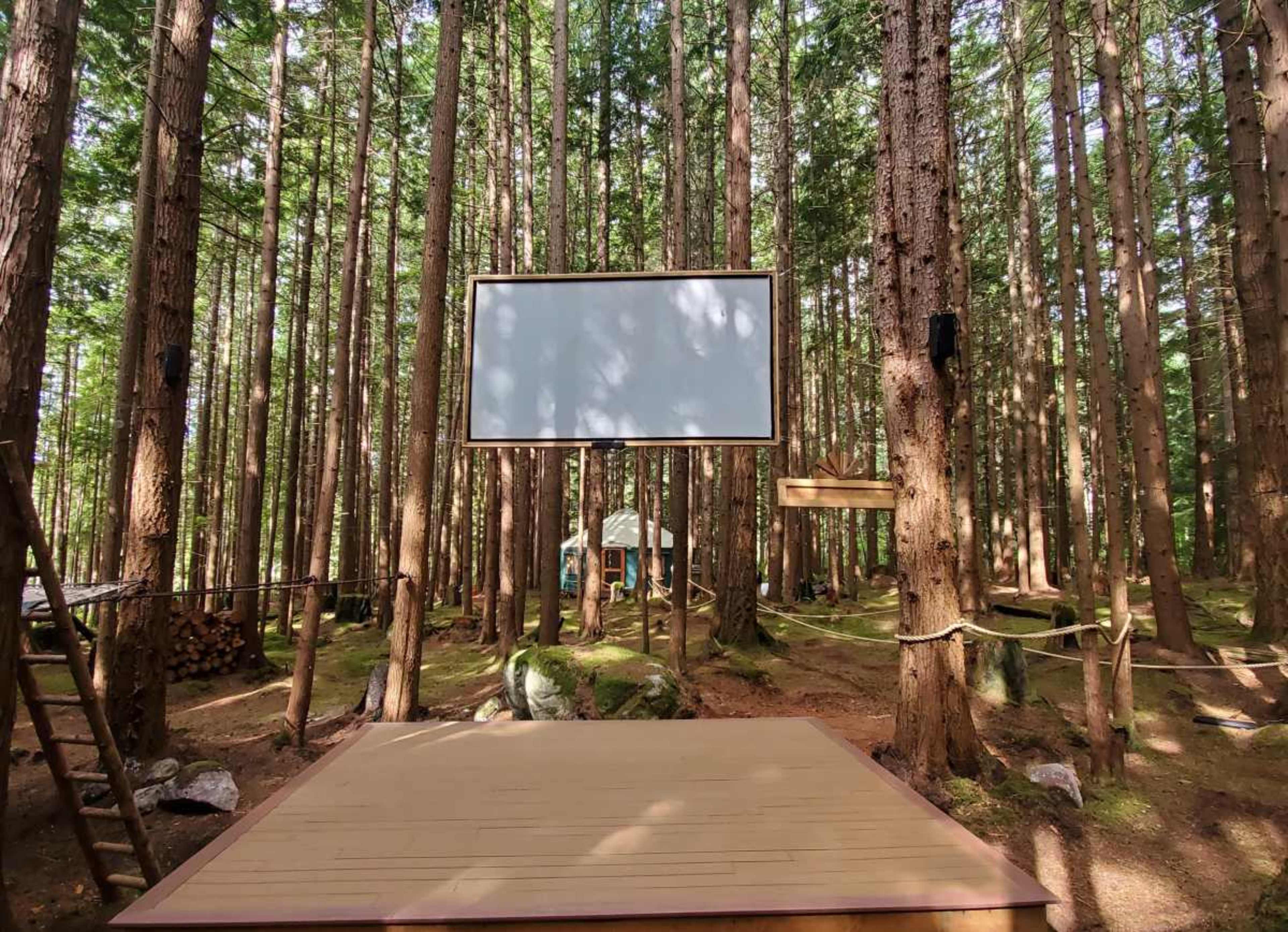 An elevated wooden stage with a blank screen is situated among tall trees in a forest.