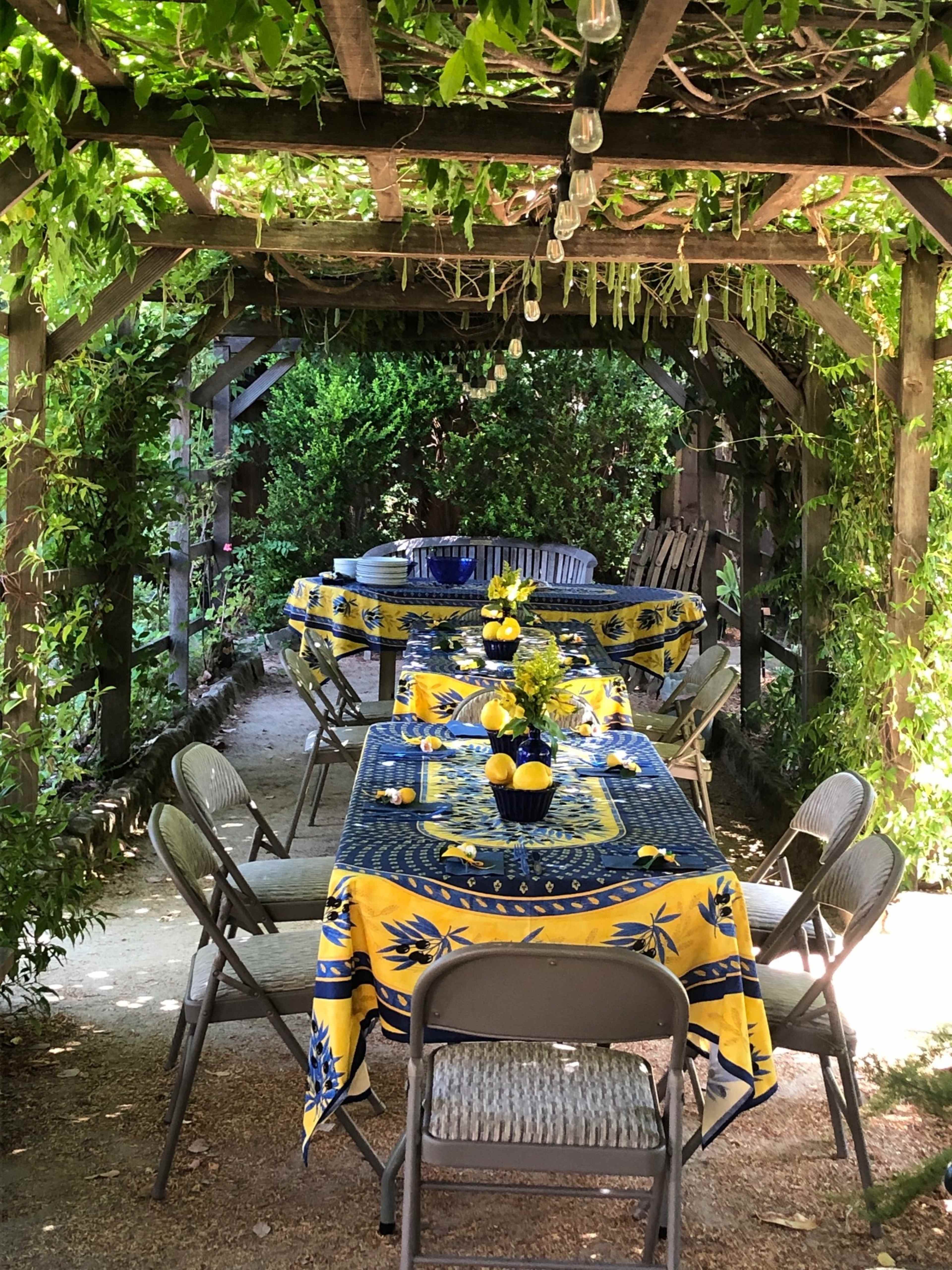 A spacious outdoor dining area features several tables set with blue and yellow tablecloths, surrounded by green foliage and hanging light bulbs.