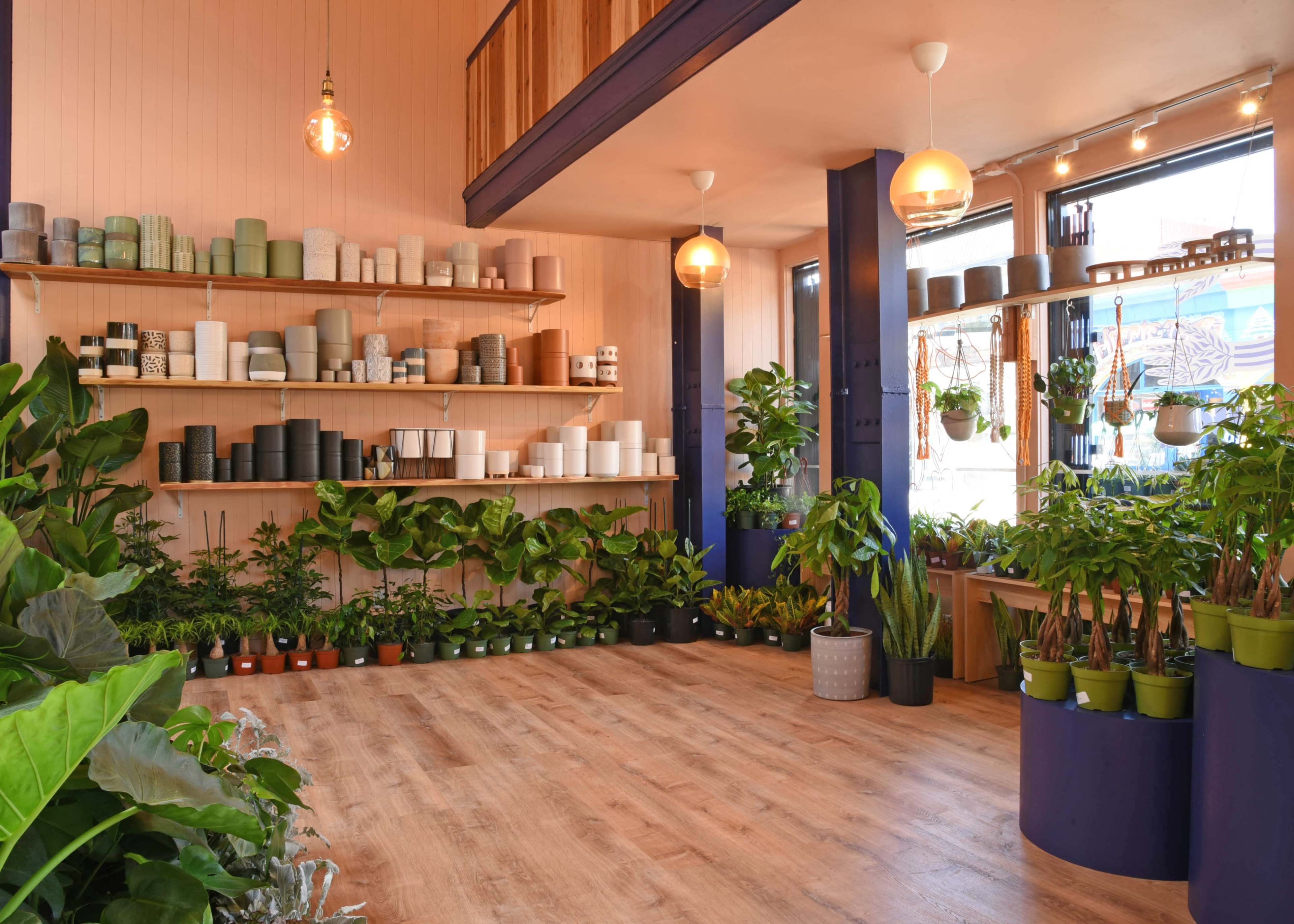 A plant shop with wooden shelves displaying various pots and plants, located in a brightly lit space with wooden flooring.