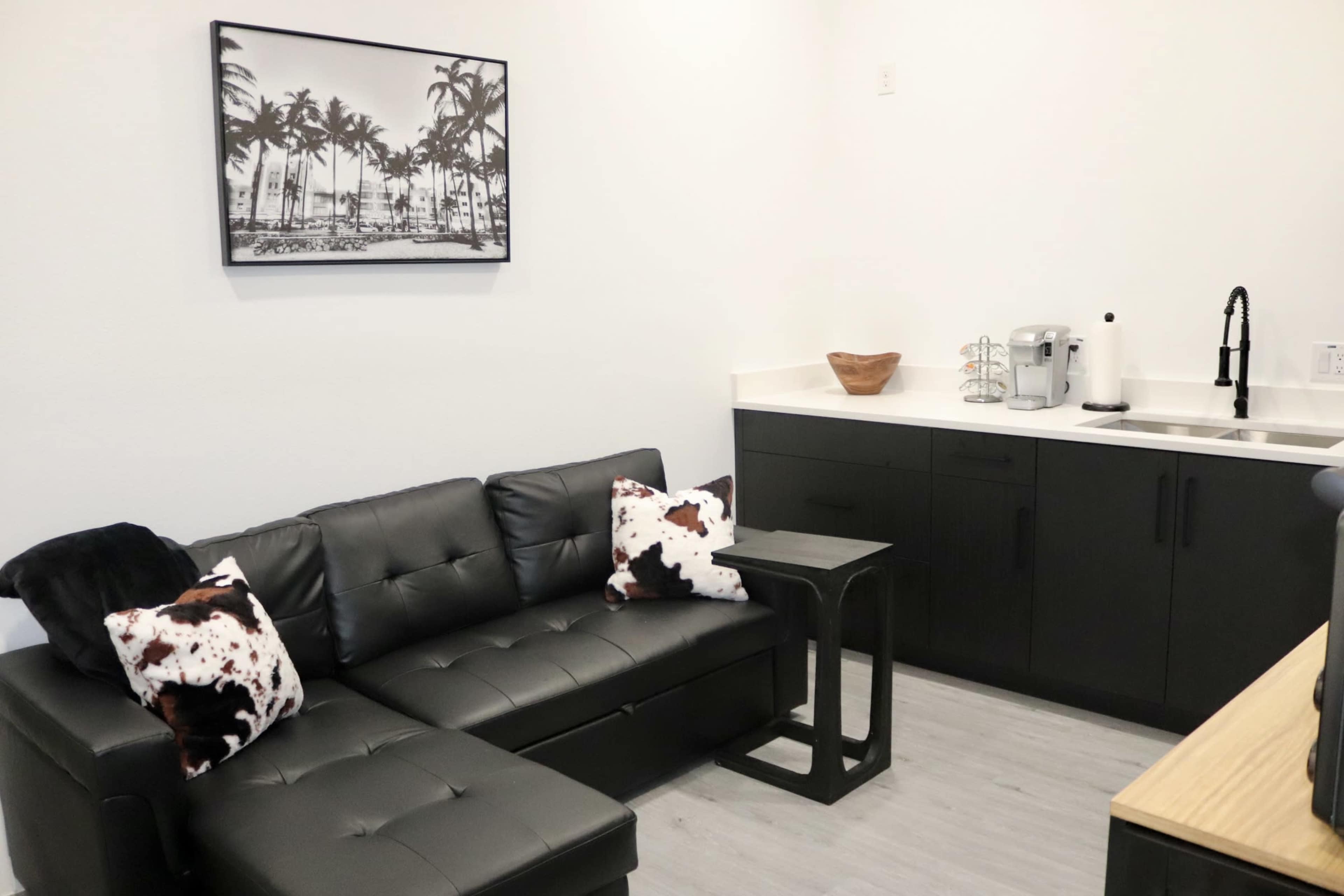 Newly built 1BD 1BA Near Downtown Image in South Dallas, Dallas, TX