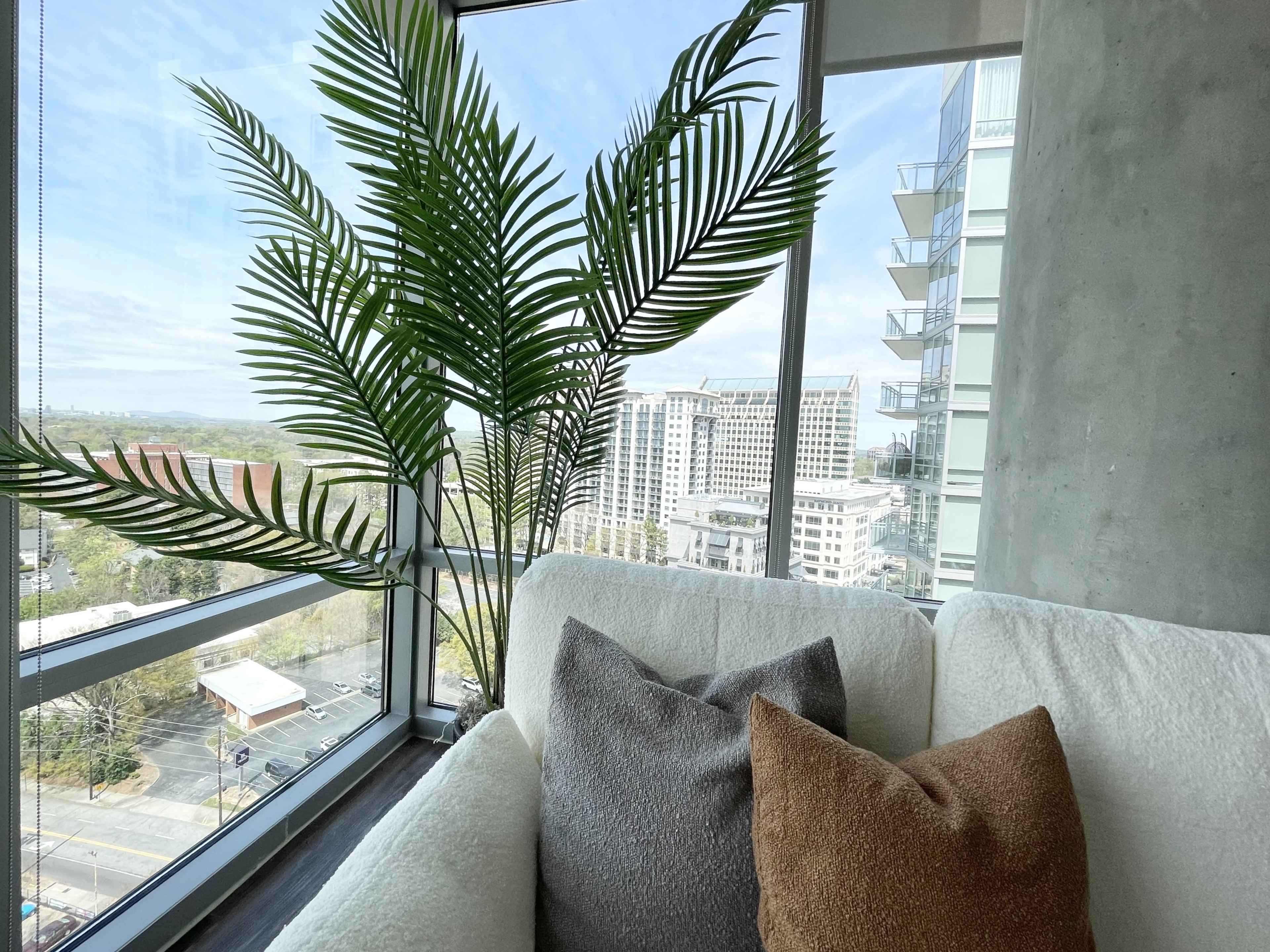 A large palm plant sits beside a soft couch, overlooking a cityscape through floor-to-ceiling windows.
