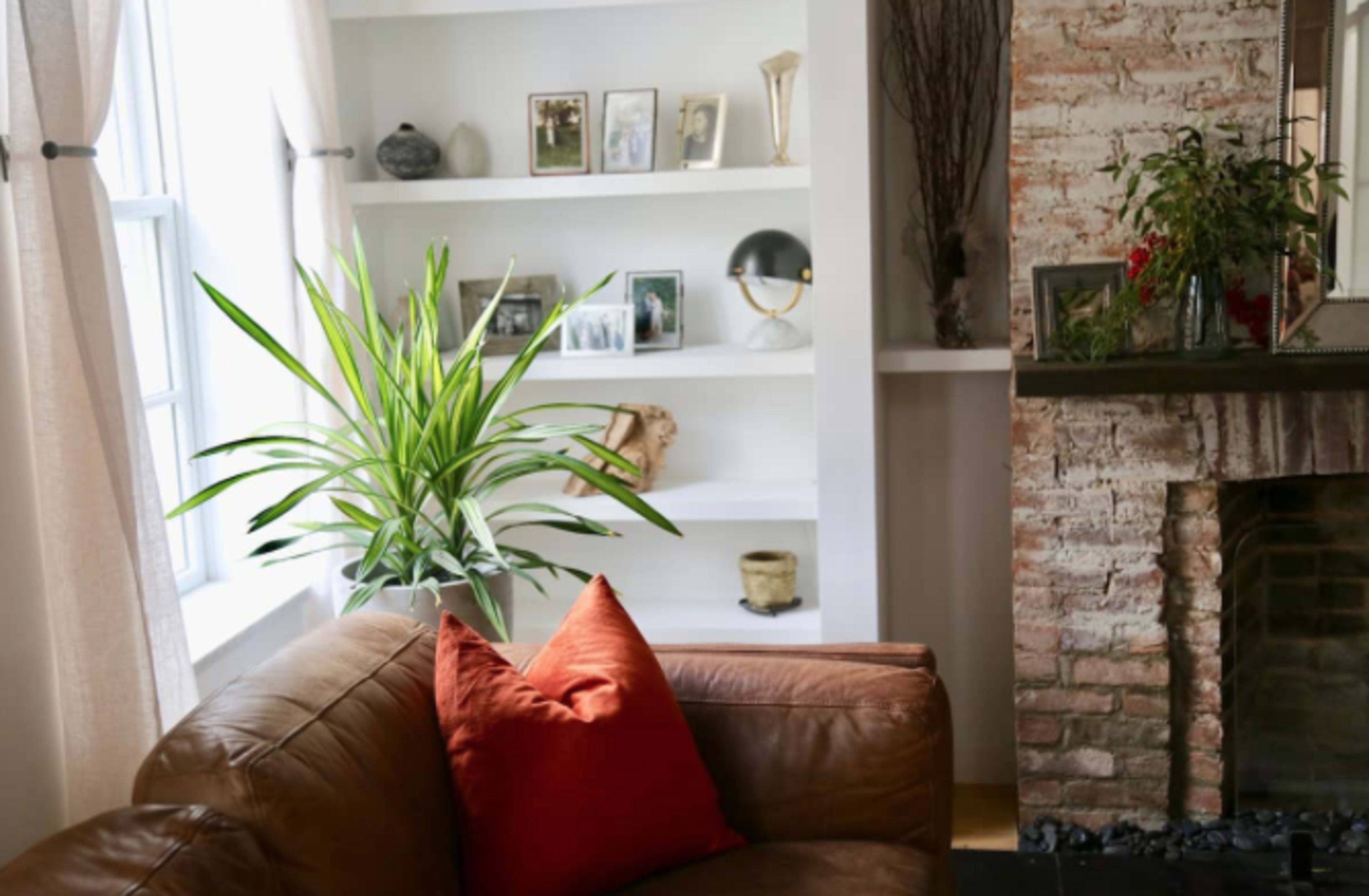 A leather couch with a red pillow sits beside a plant and a shelf displaying framed photos and decorative items against a brick wall.