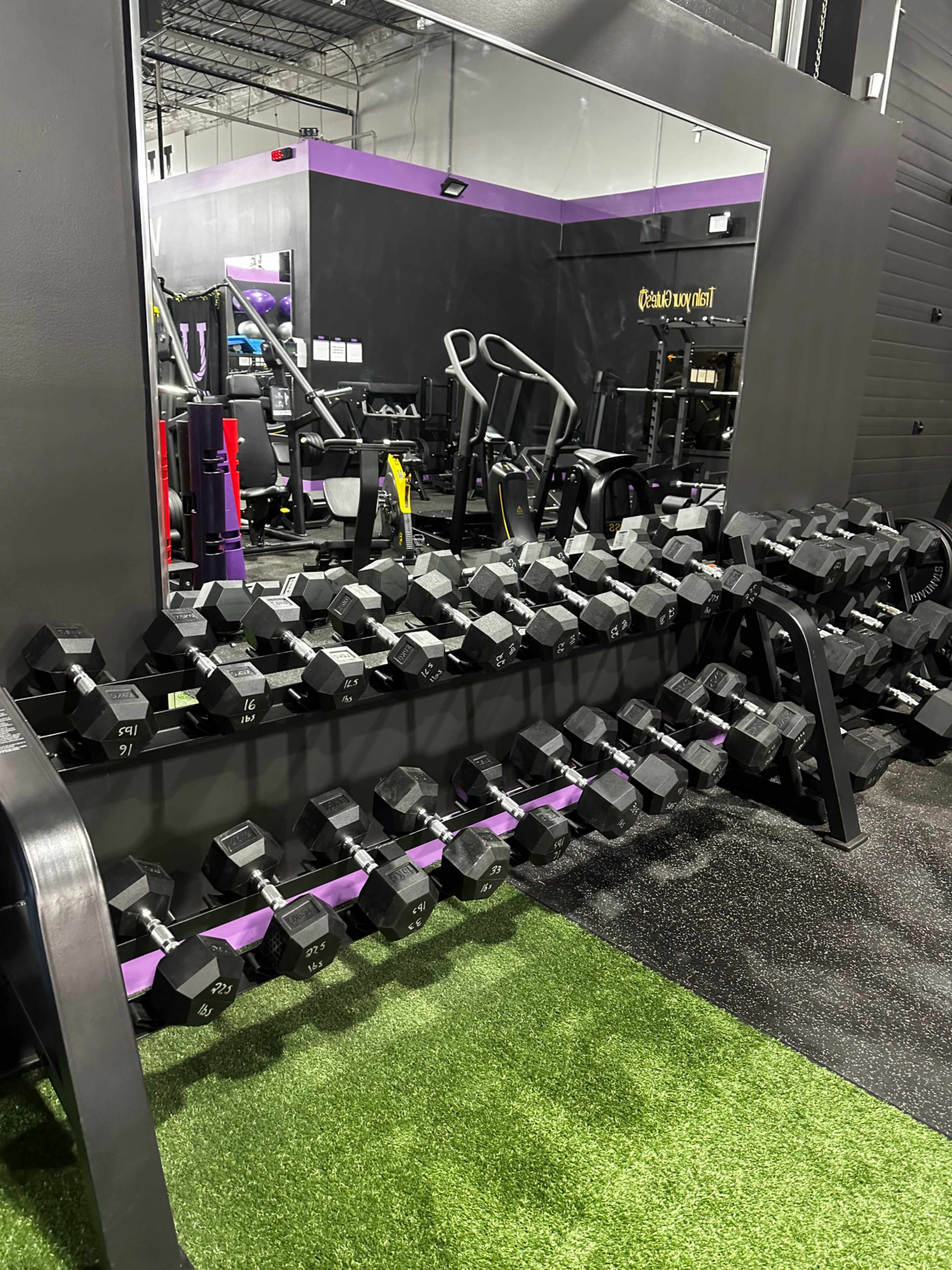 A row of black dumbbells is placed on a rack against a wall with a mirror, within a gym featuring purple accents and green turf flooring.