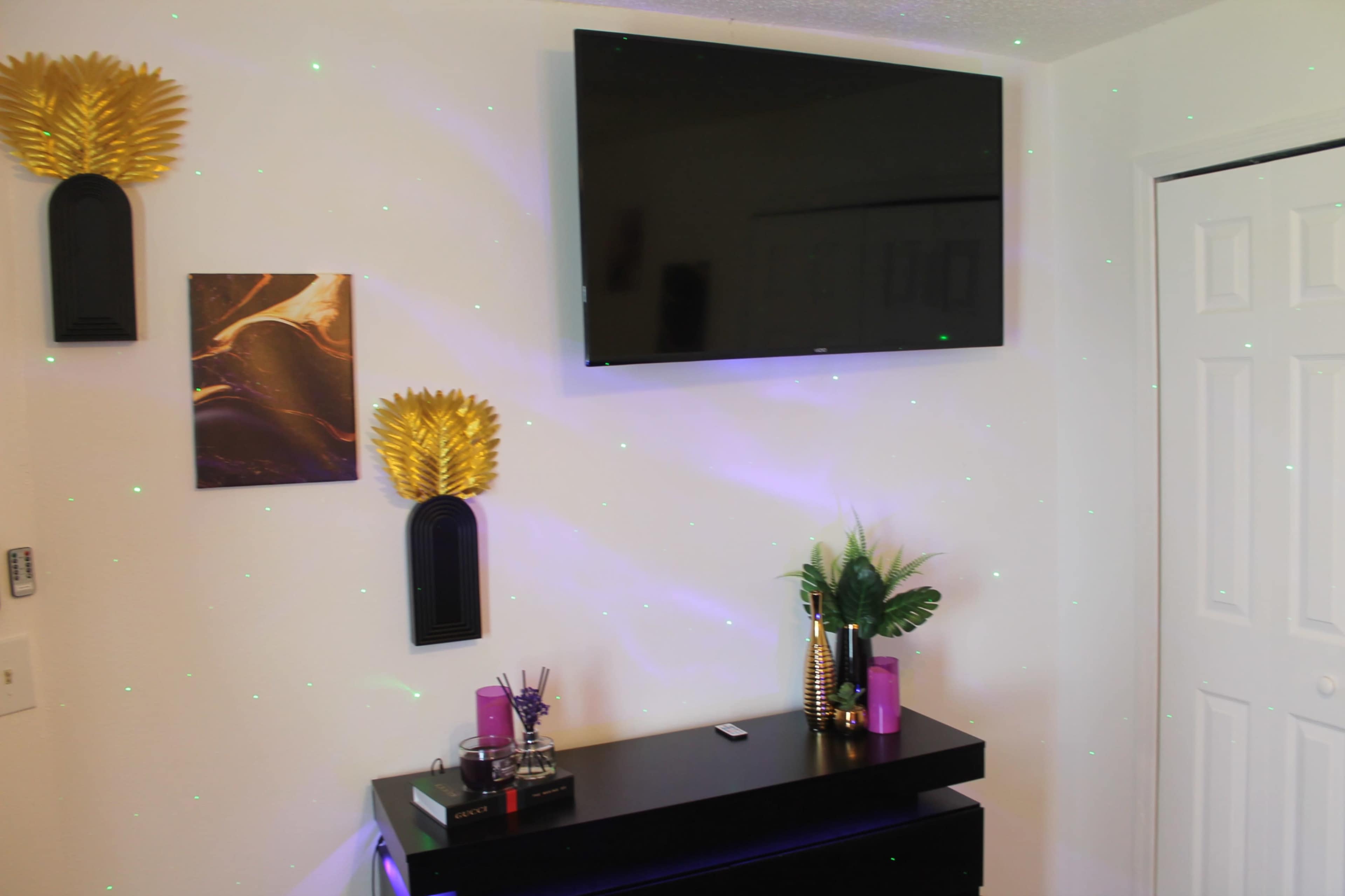 A room featuring a mounted flat-screen TV on the wall, a black storage unit below, and decorative items including wall art and plants arranged around the space.