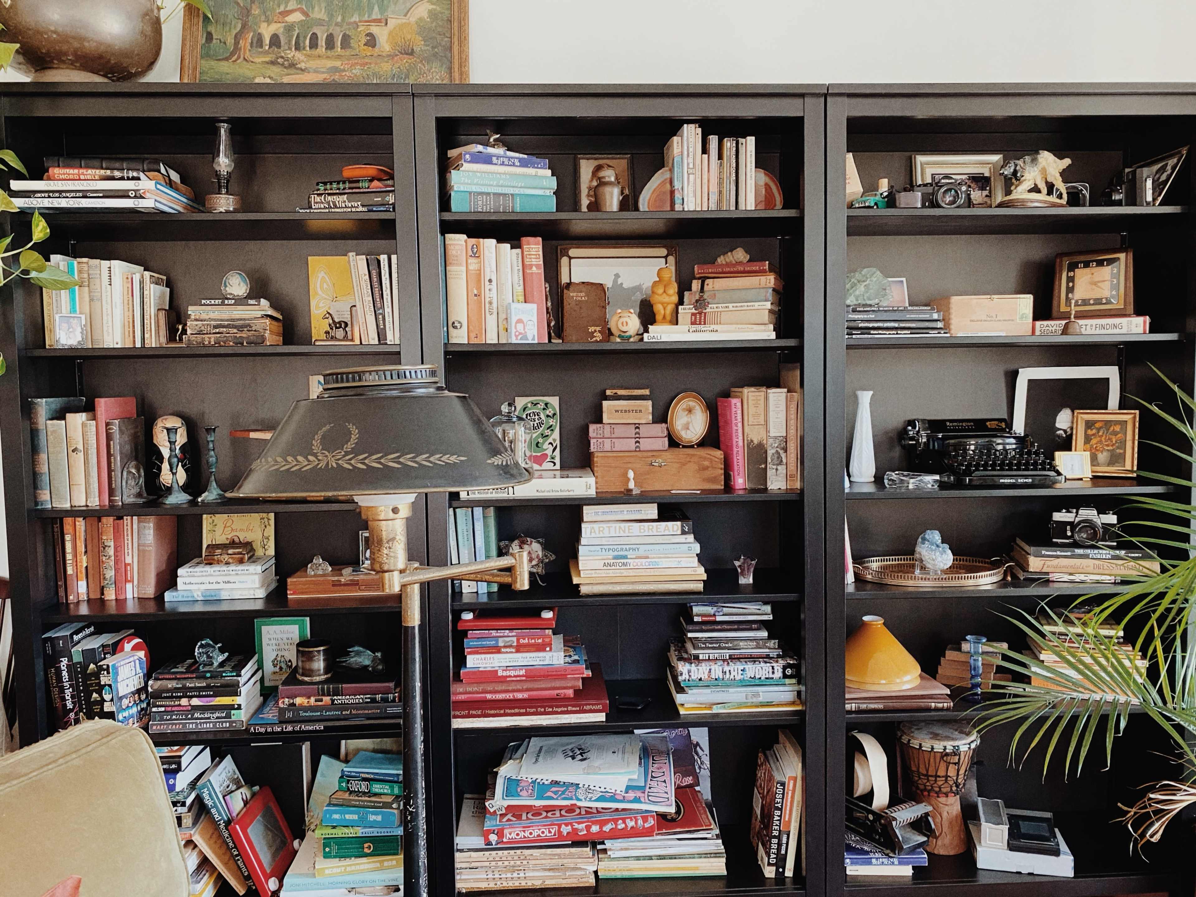 A bookshelf filled with a variety of books, vintage items, and decorative objects, accompanied by a lamp and green plant.