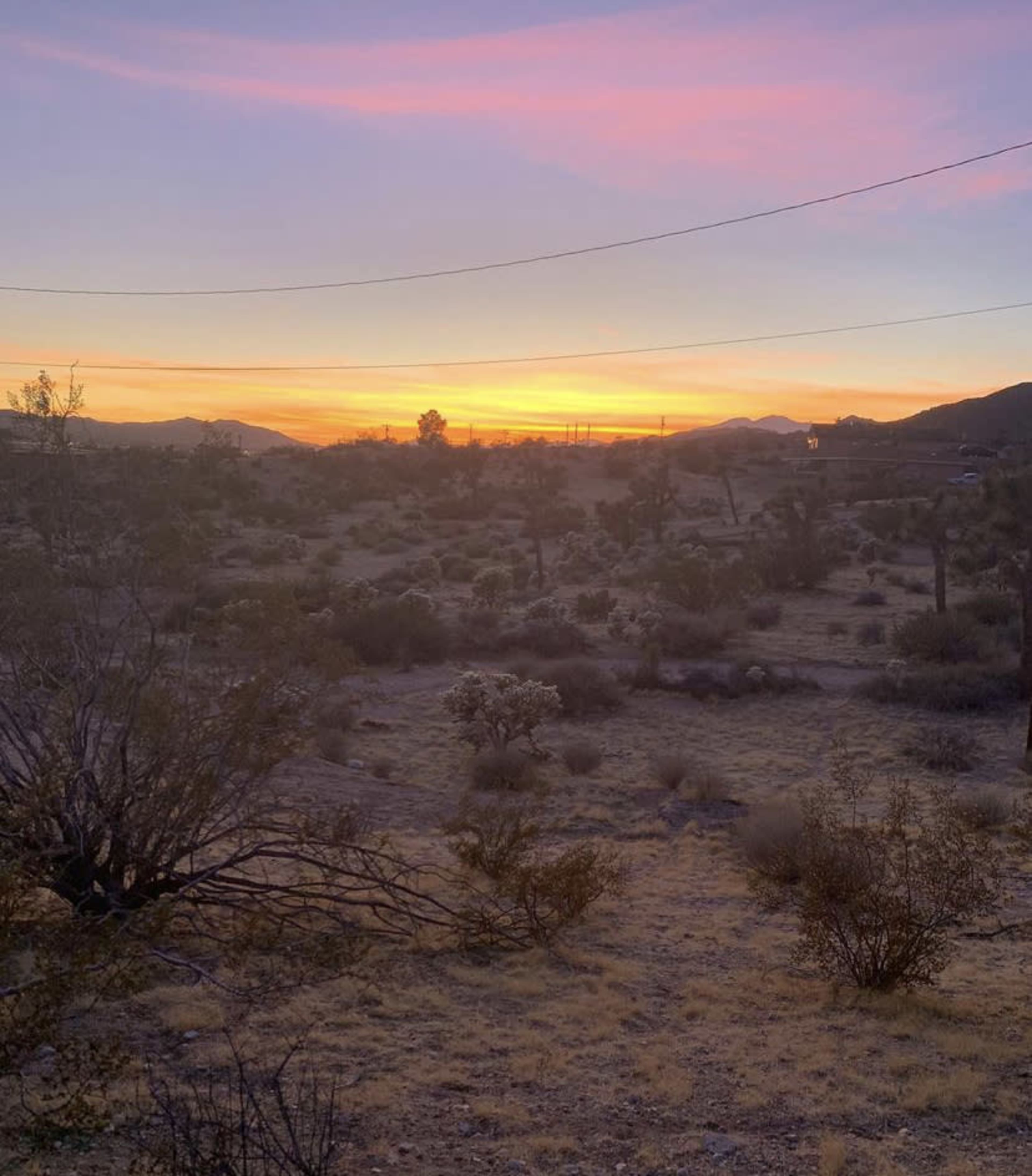 The image shows a desert landscape at sunset, with silhouettes of plants and mountains against a colorful sky.