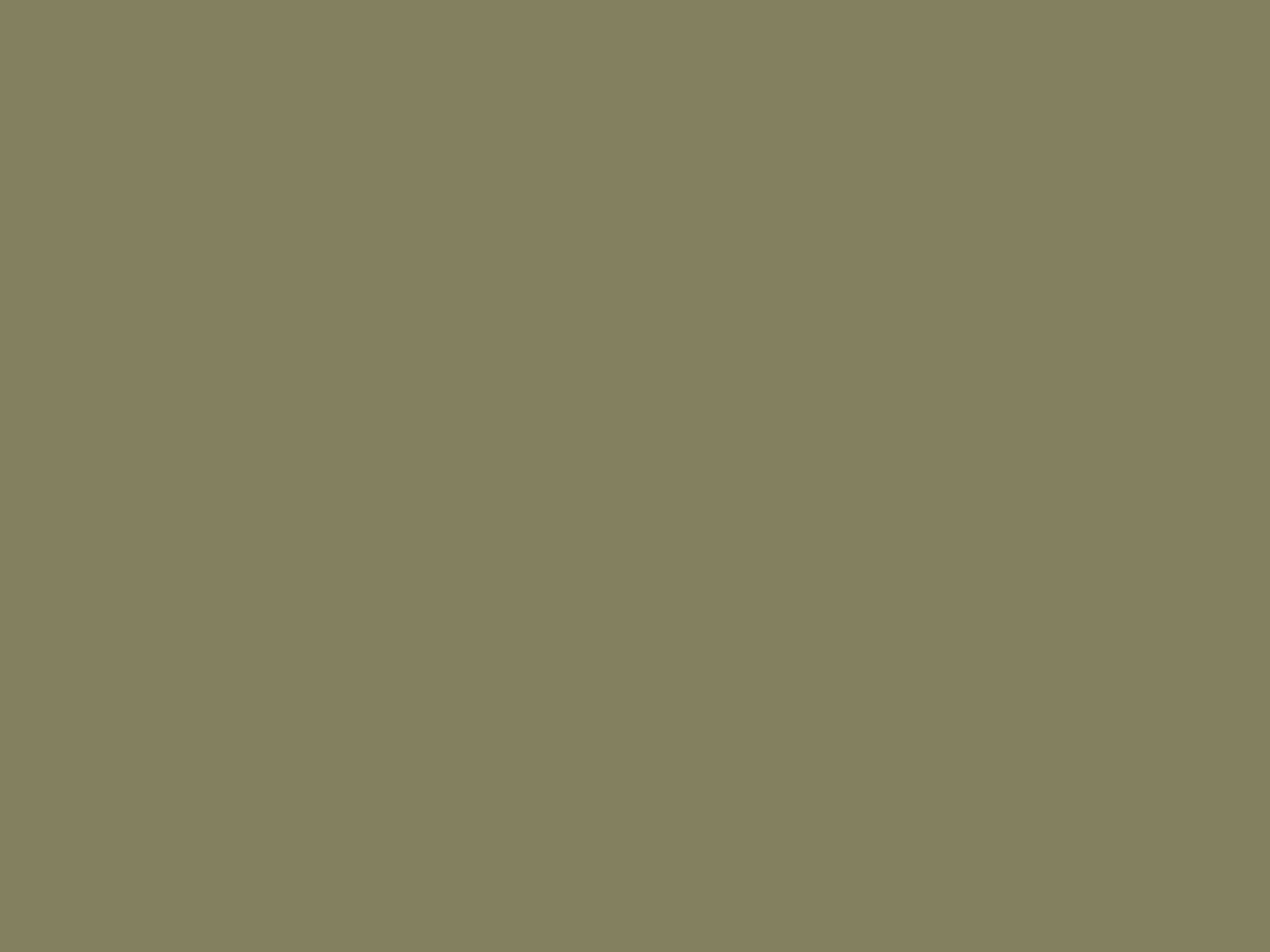 Backdrop — Cactus — Seamless