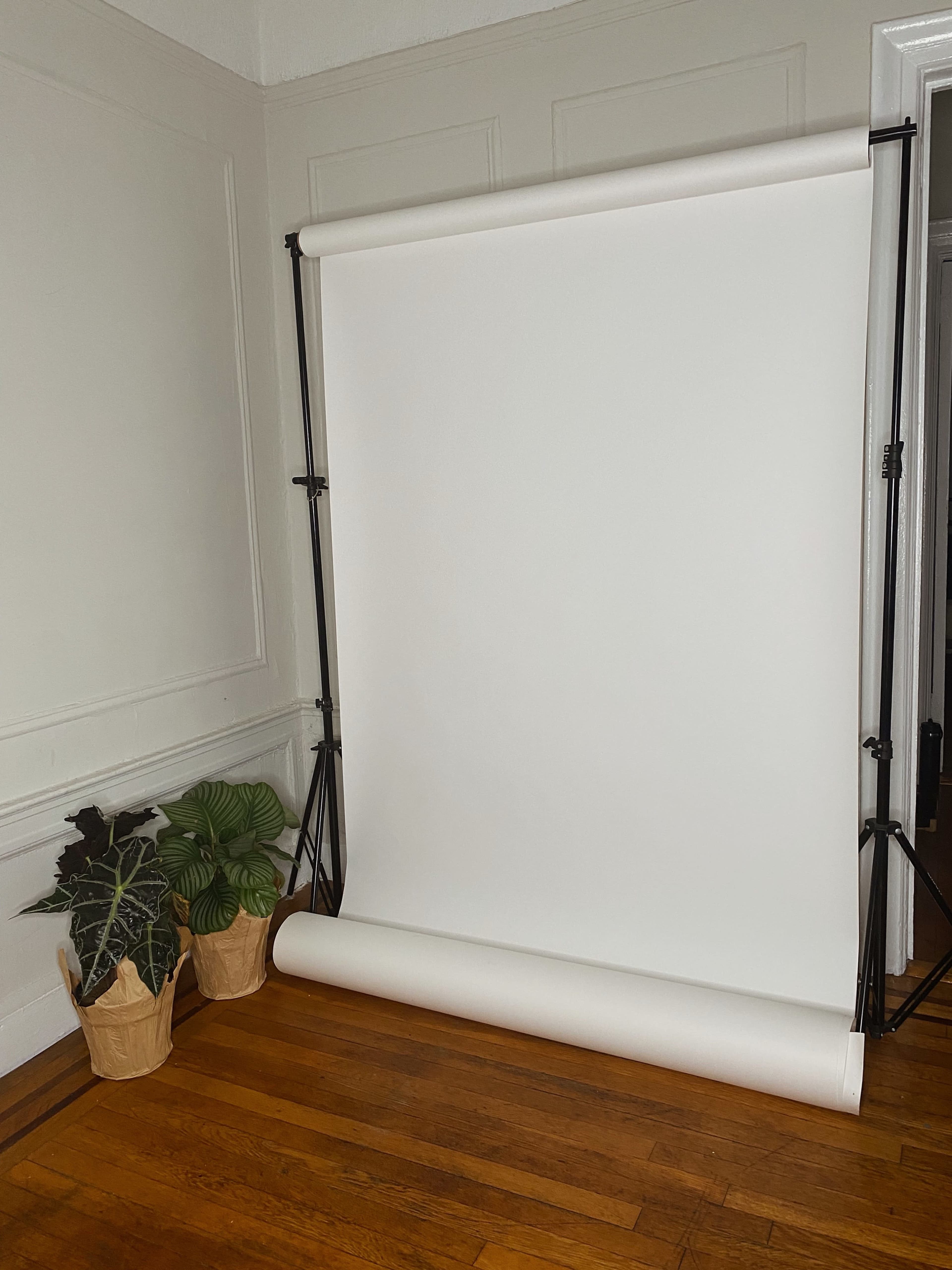 A white backdrop is set up on a stand in a room with wooden flooring, accompanied by two potted plants in woven baskets.