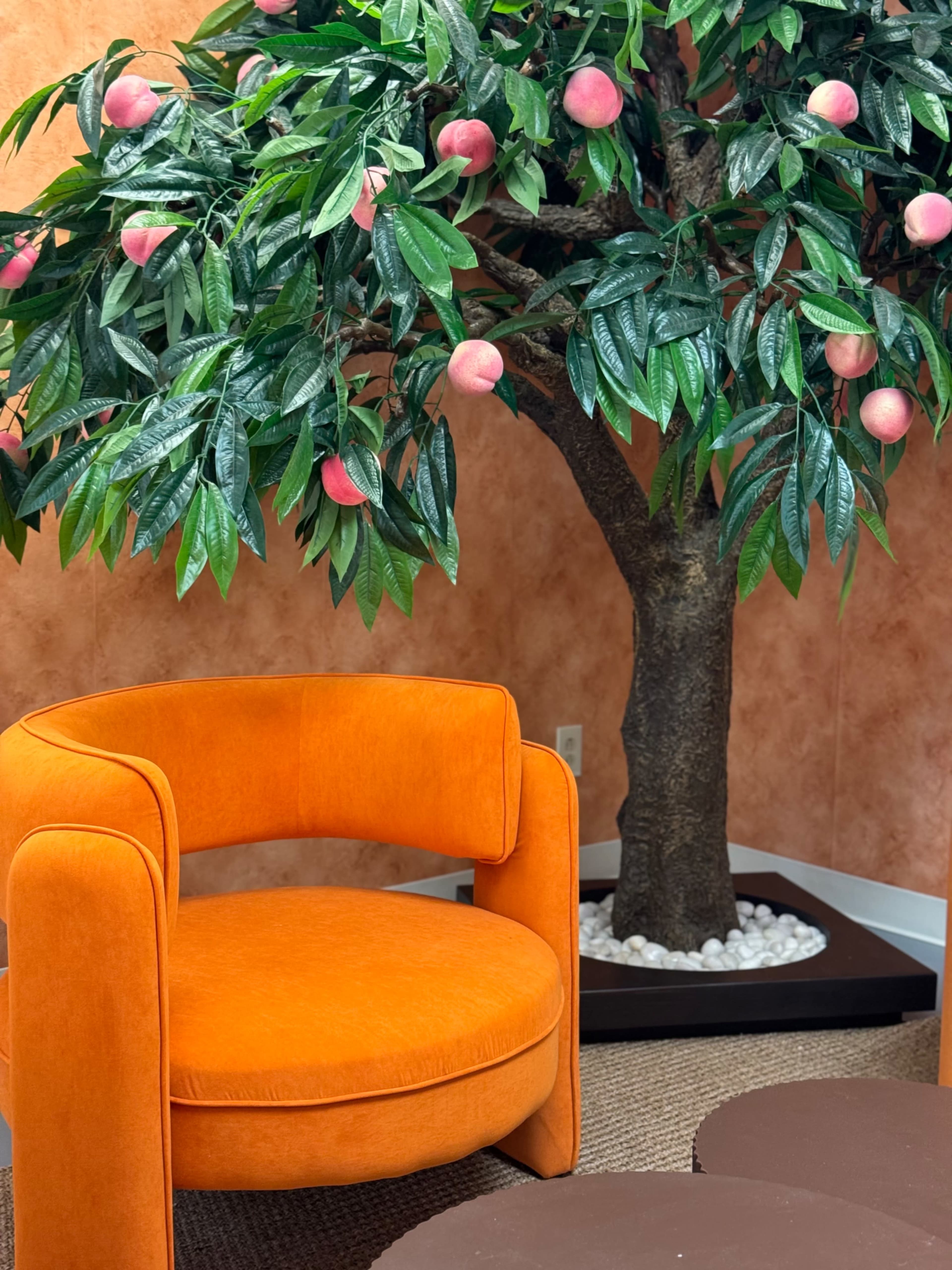Peachtree Themed Lounge Image in Chamblee, Atlanta, GA