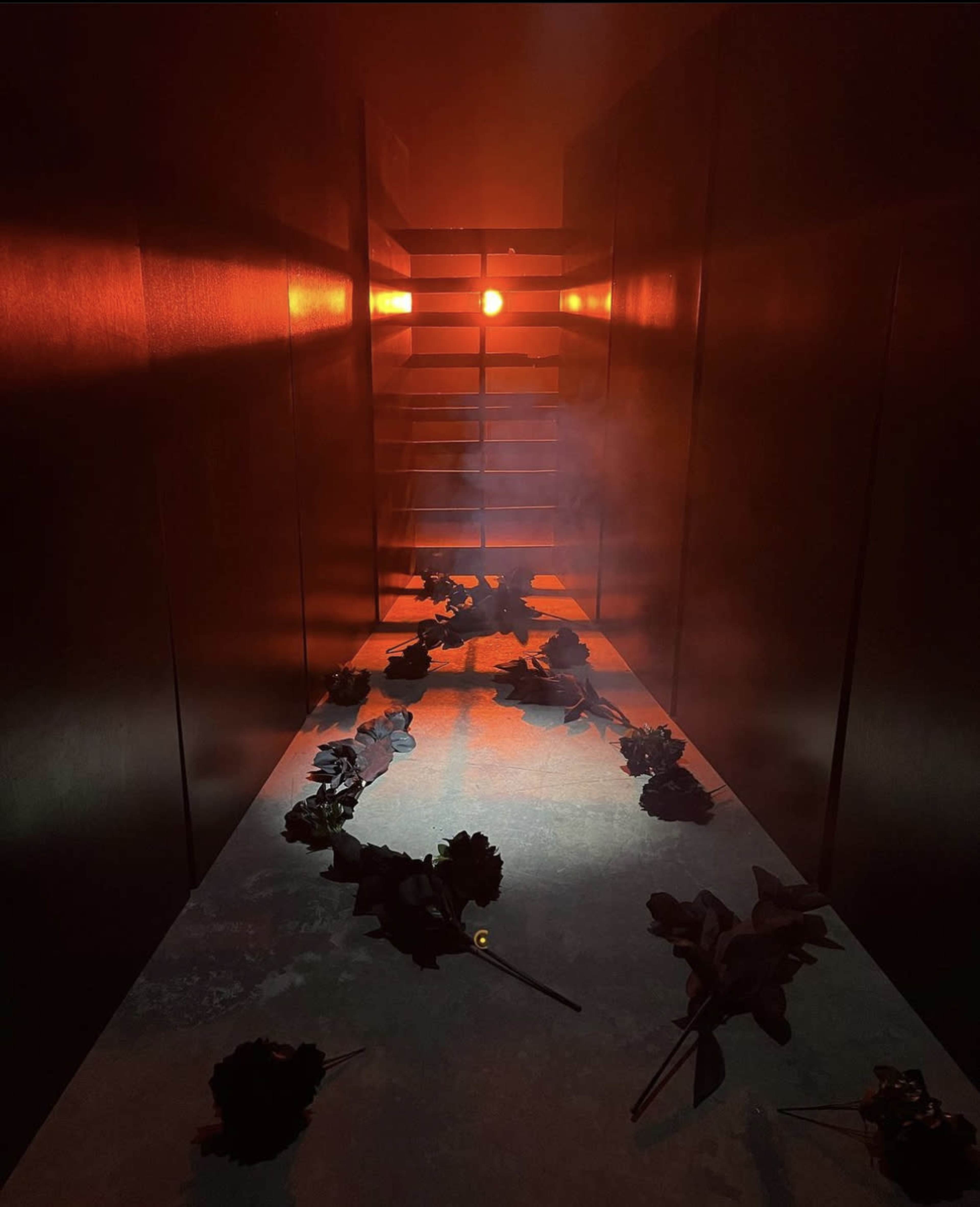 A narrow, dimly lit corridor lined with black roses leads to a glowing light source at the end.