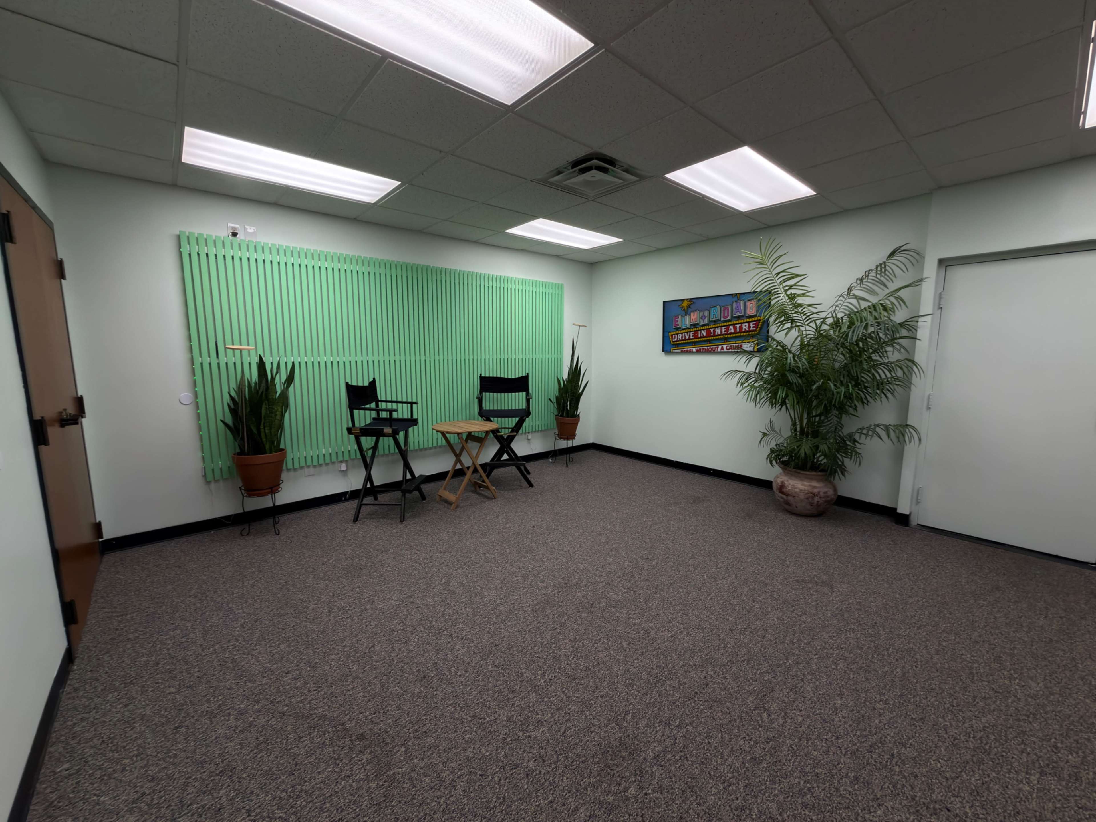 The image shows a bare room with two chairs set up in front of a green wall panel, a potted plant in the corner, and a piece of artwork on the wall.