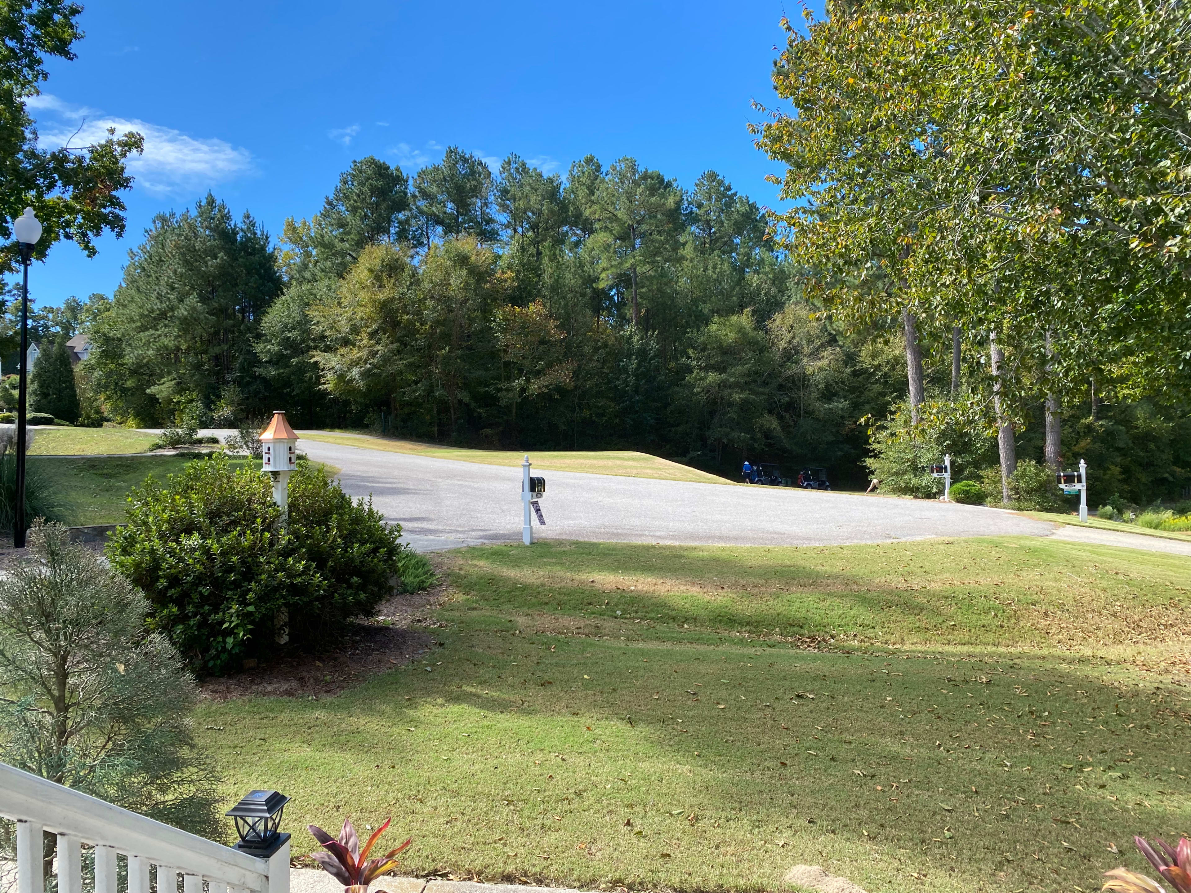 A clear, open area with a gravel driveway surrounded by trees and grass.