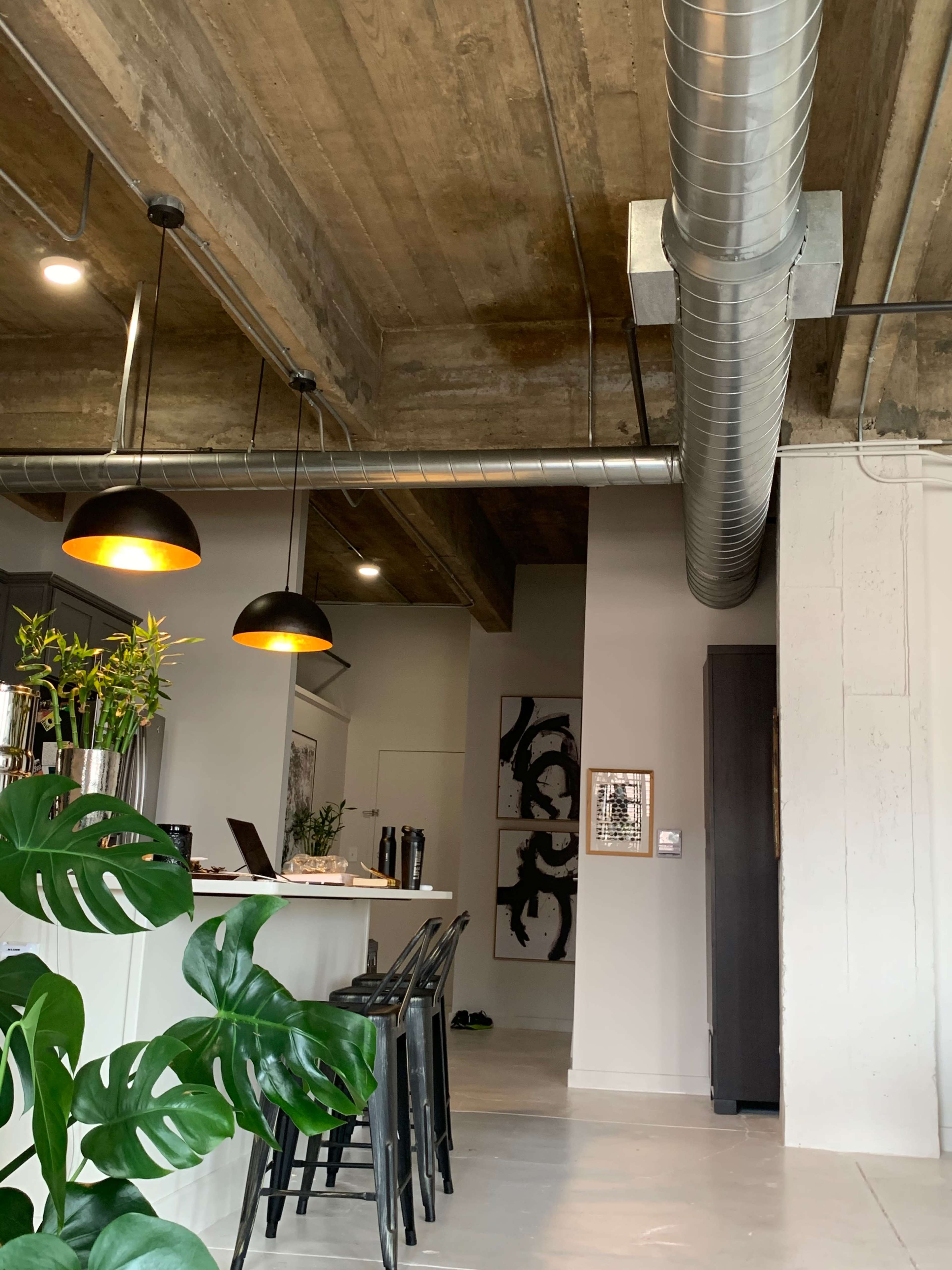 A modern interior space with exposed concrete ceilings, industrial-style pendant lights, and a plant beside a kitchen island.