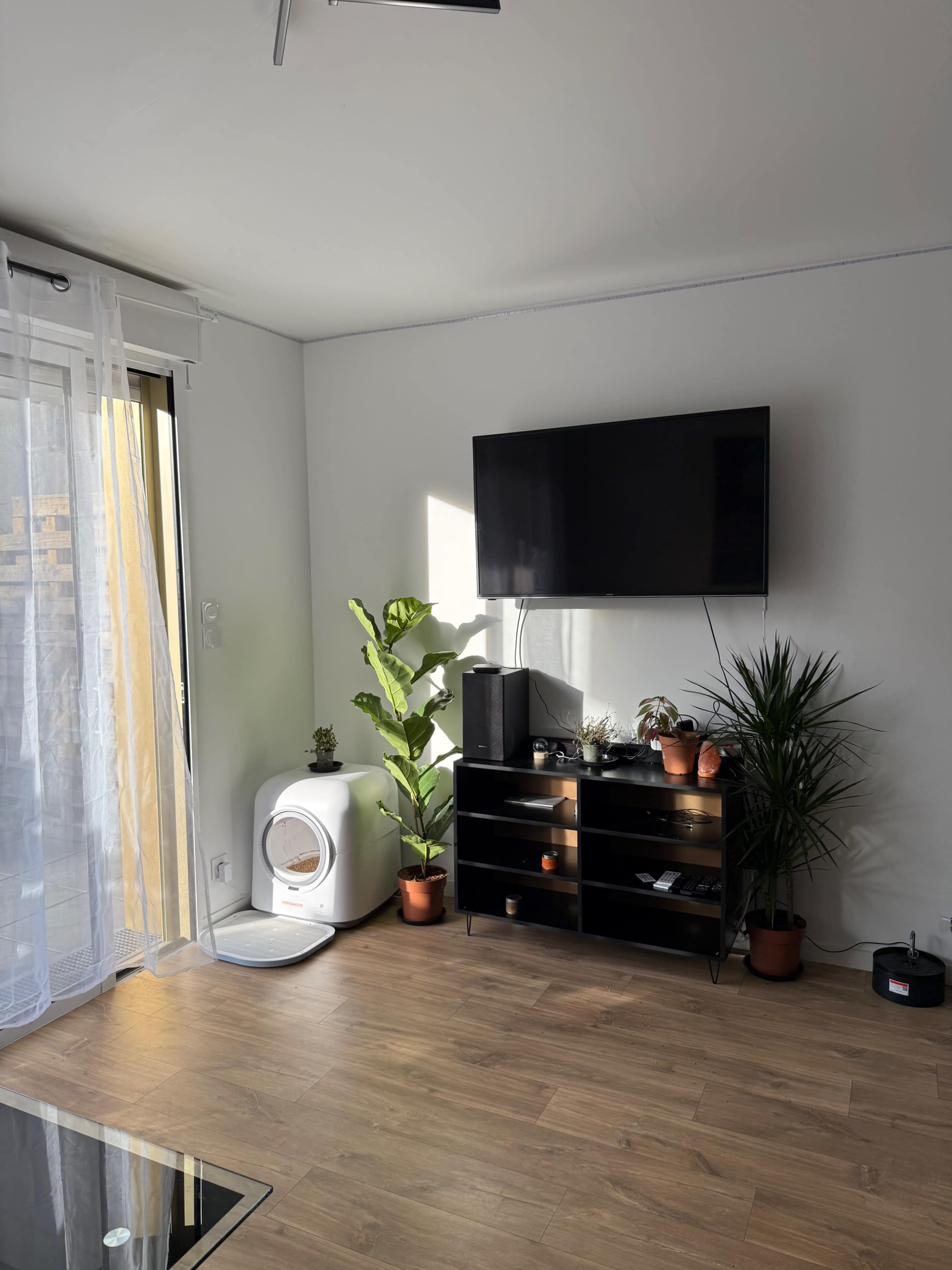 The image shows a corner of a living room with a television mounted on the wall, a black media unit, and several potted plants beside it.