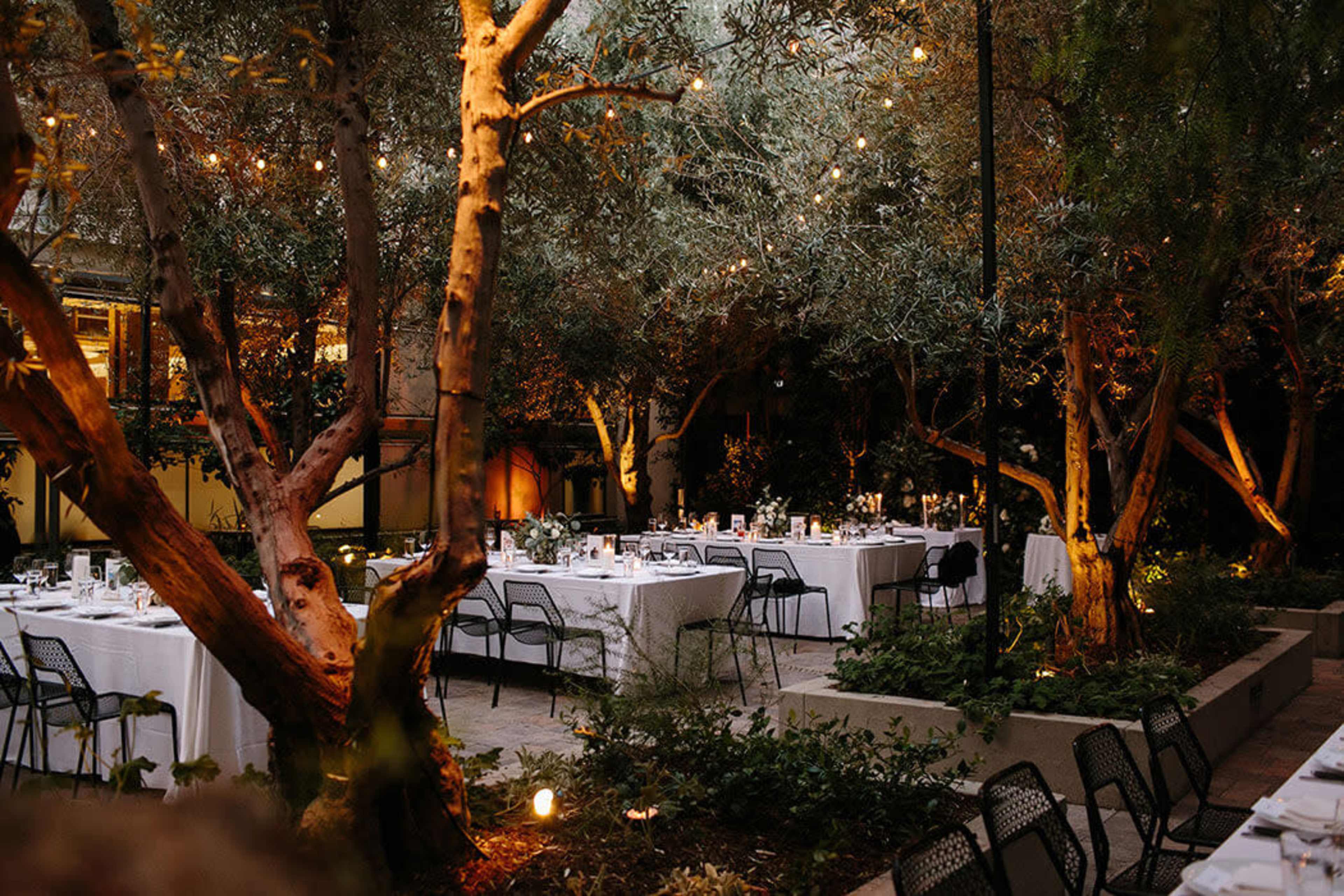 The image shows an outdoor dining area with several white tablecloth-covered tables set up among trees with string lights illuminating the scene.