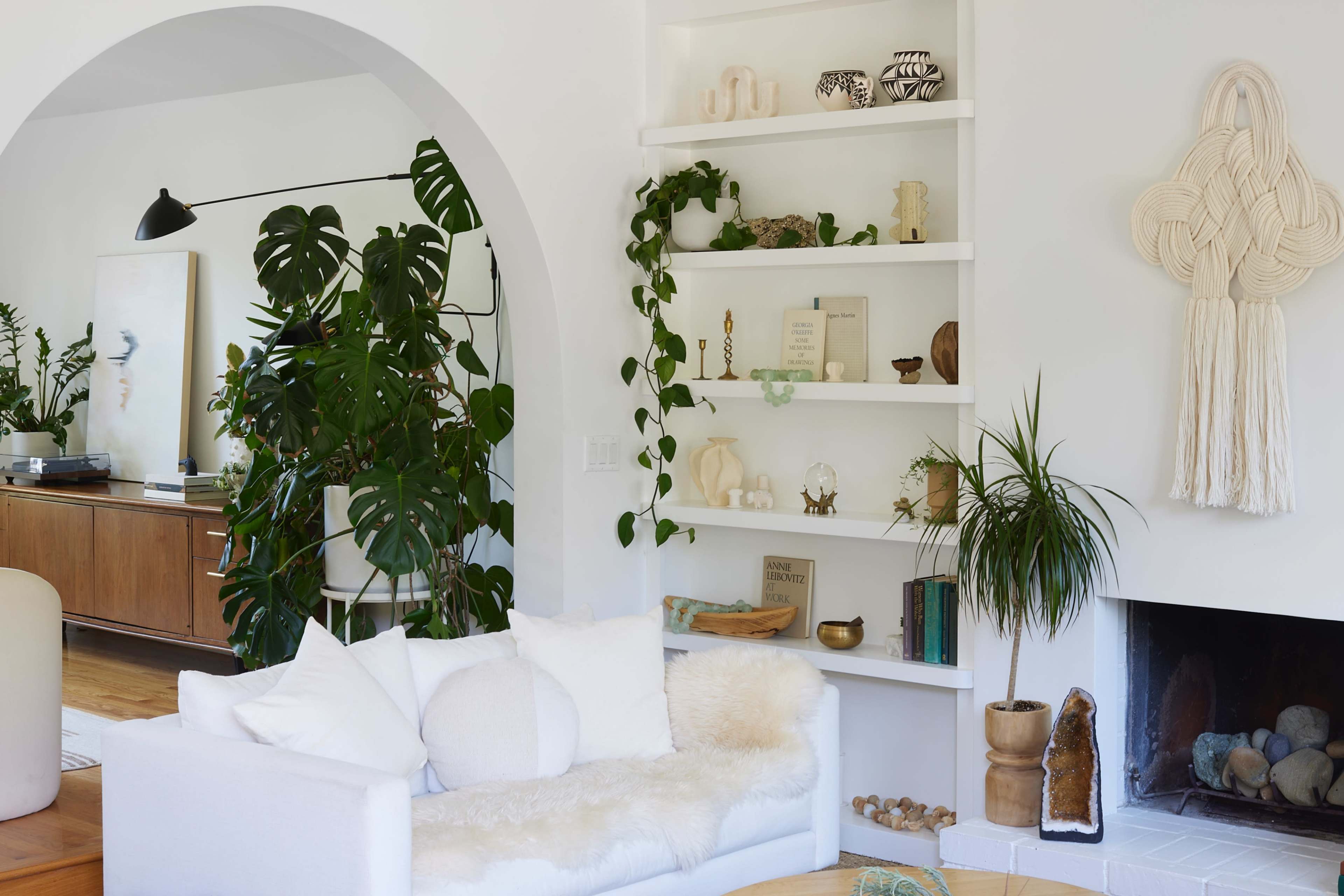 A modern living room with a white couch, a bookshelf filled with decorative items, and indoor plants enhancing the space.