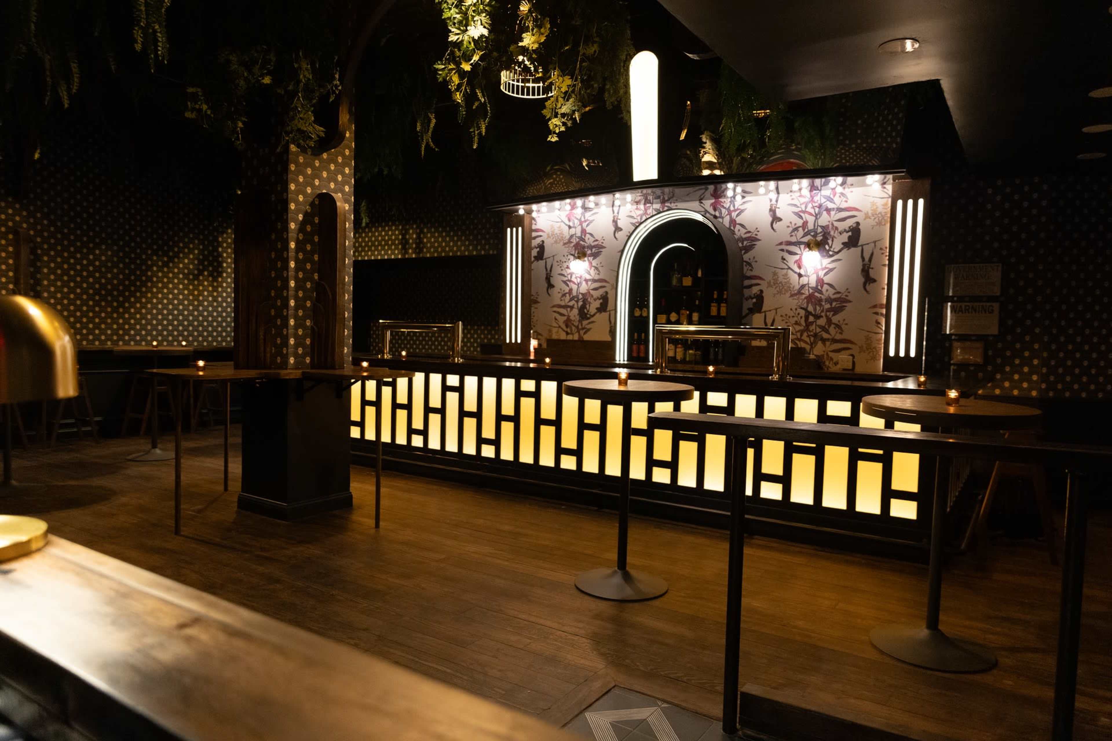 An empty bar features a brightly lit counter with decorative elements and plants hanging from the ceiling.