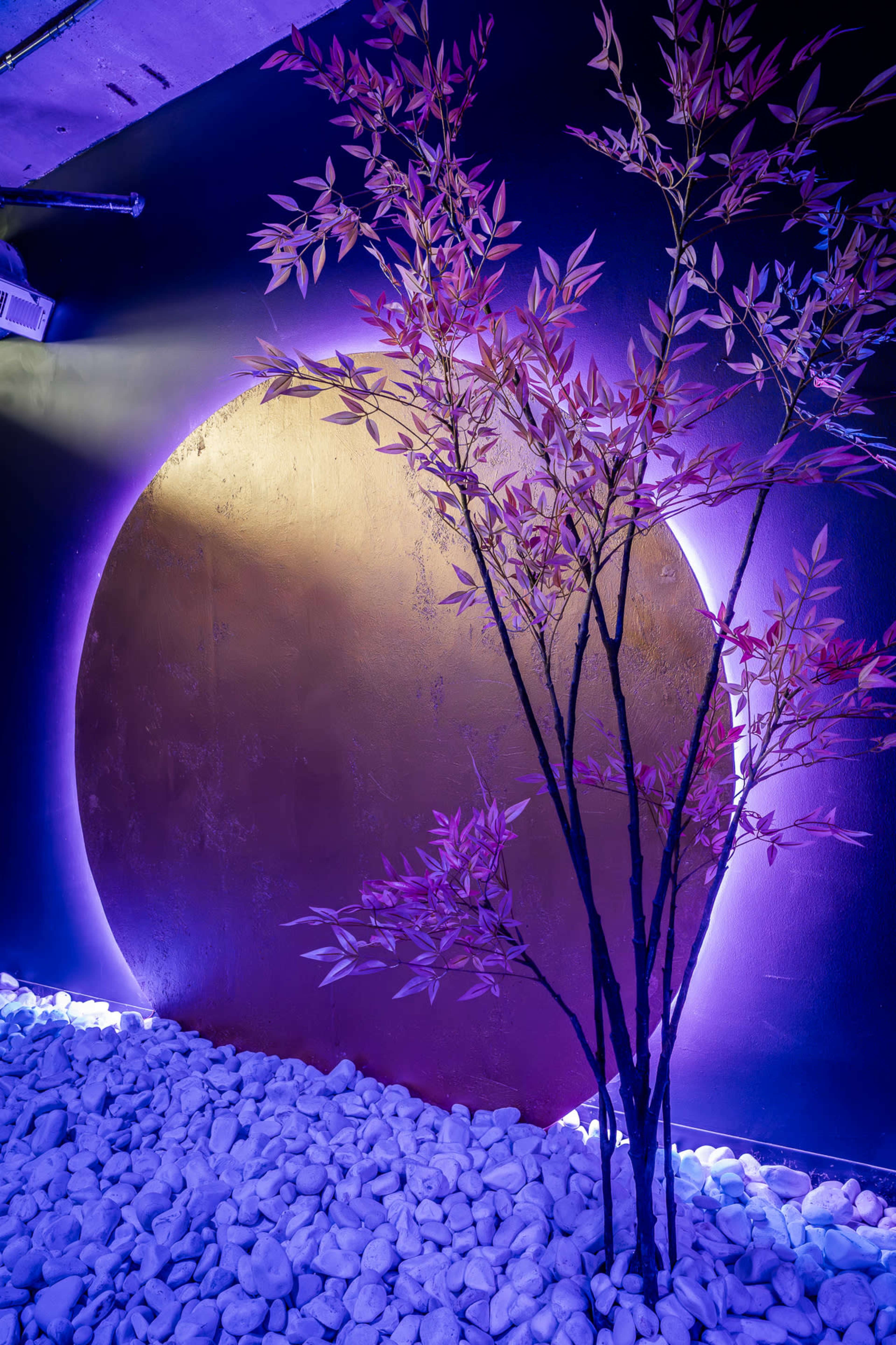 The Jungle | Creative Photo & Video Studio Image in Austin, Chicago, IL