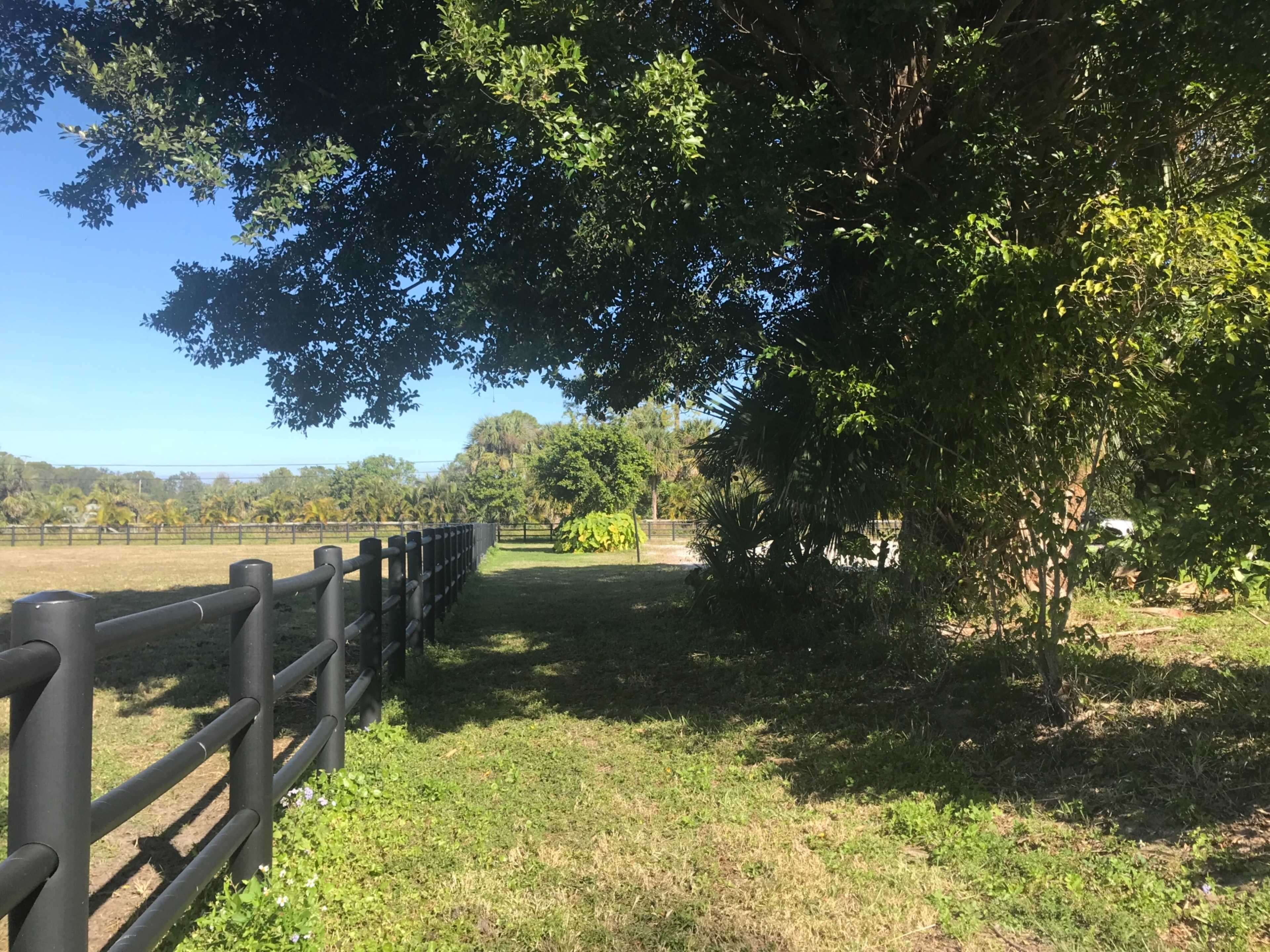 A black fence lines a grassy path shaded by large trees, leading toward an open area beyond.