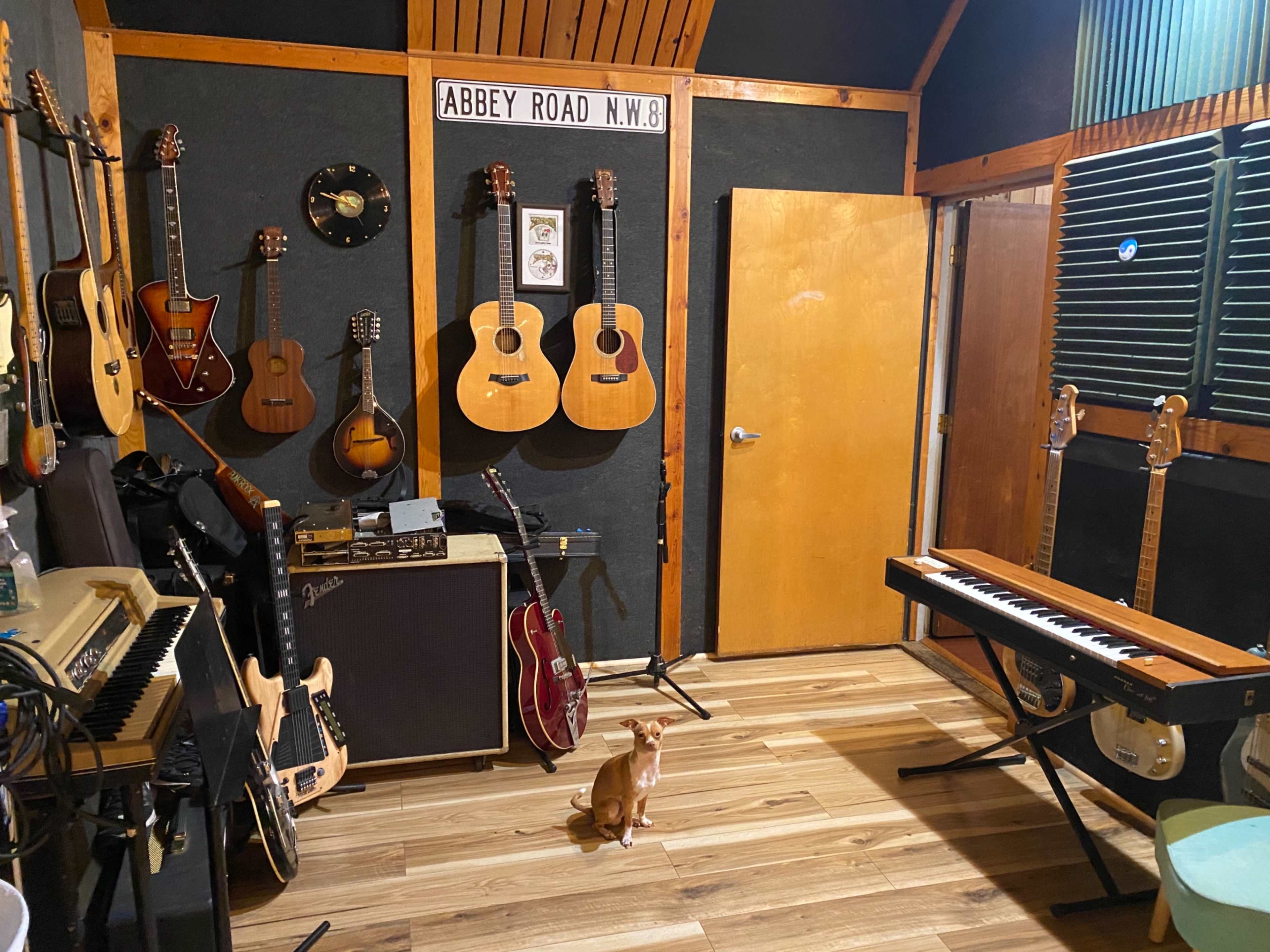 A music studio with various guitars hanging on the walls, an amplifier, a keyboard, and a small dog sitting on the floor.