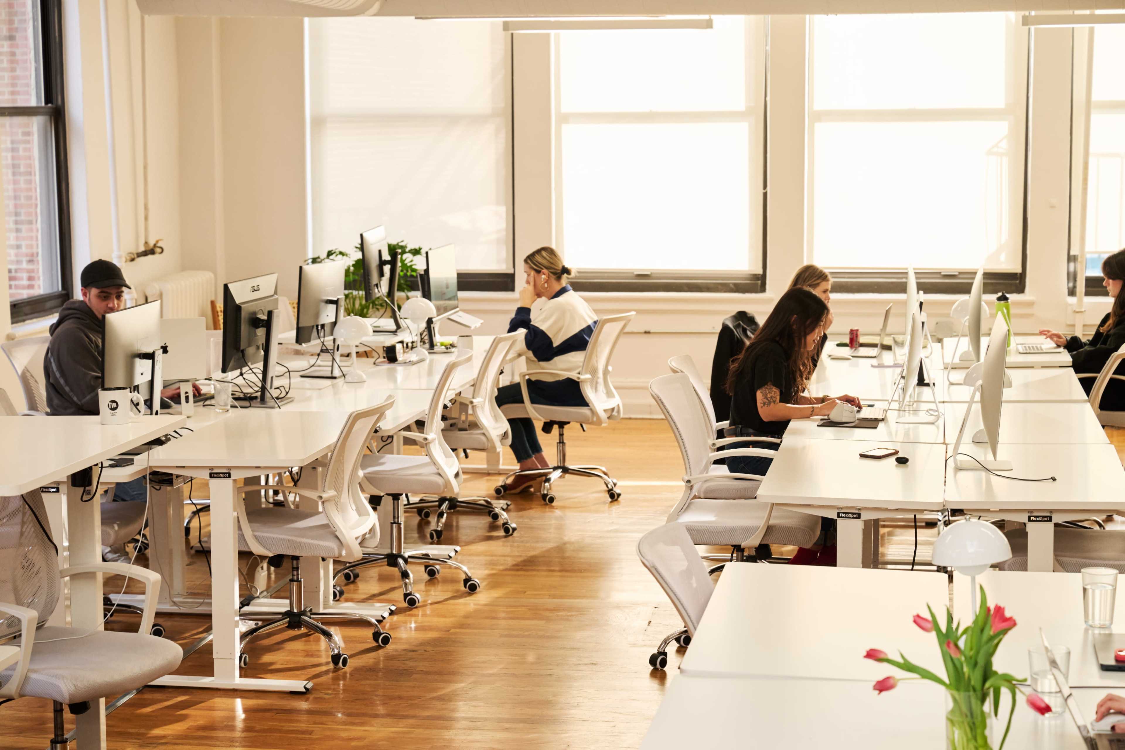 A modern office space features several workers seated at white desks with computers and plants, illuminated by natural light from large windows.