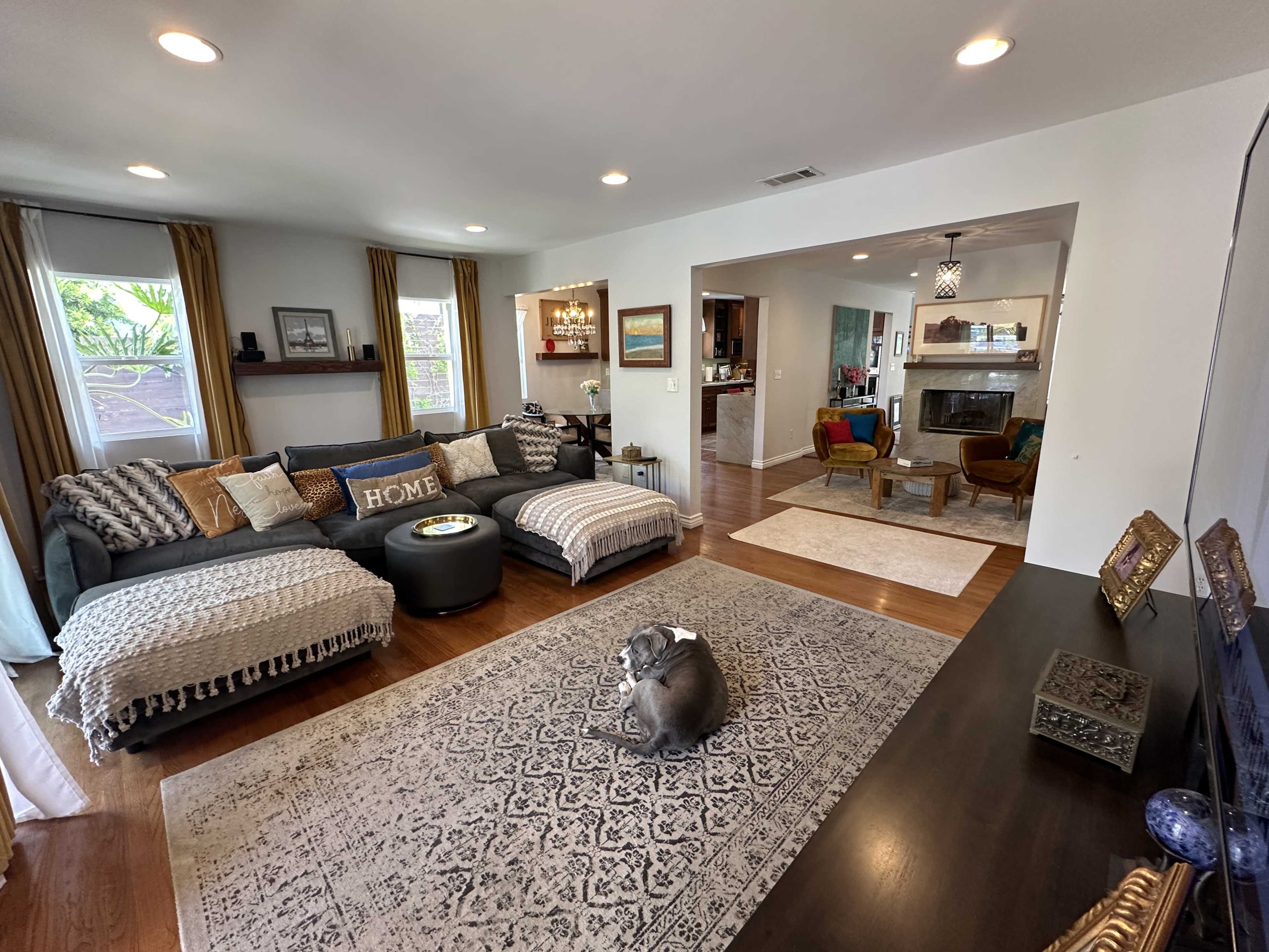 A spacious living room features a dark sectional sofa, a round coffee table, and a light area rug, with a dog sitting on the floor.