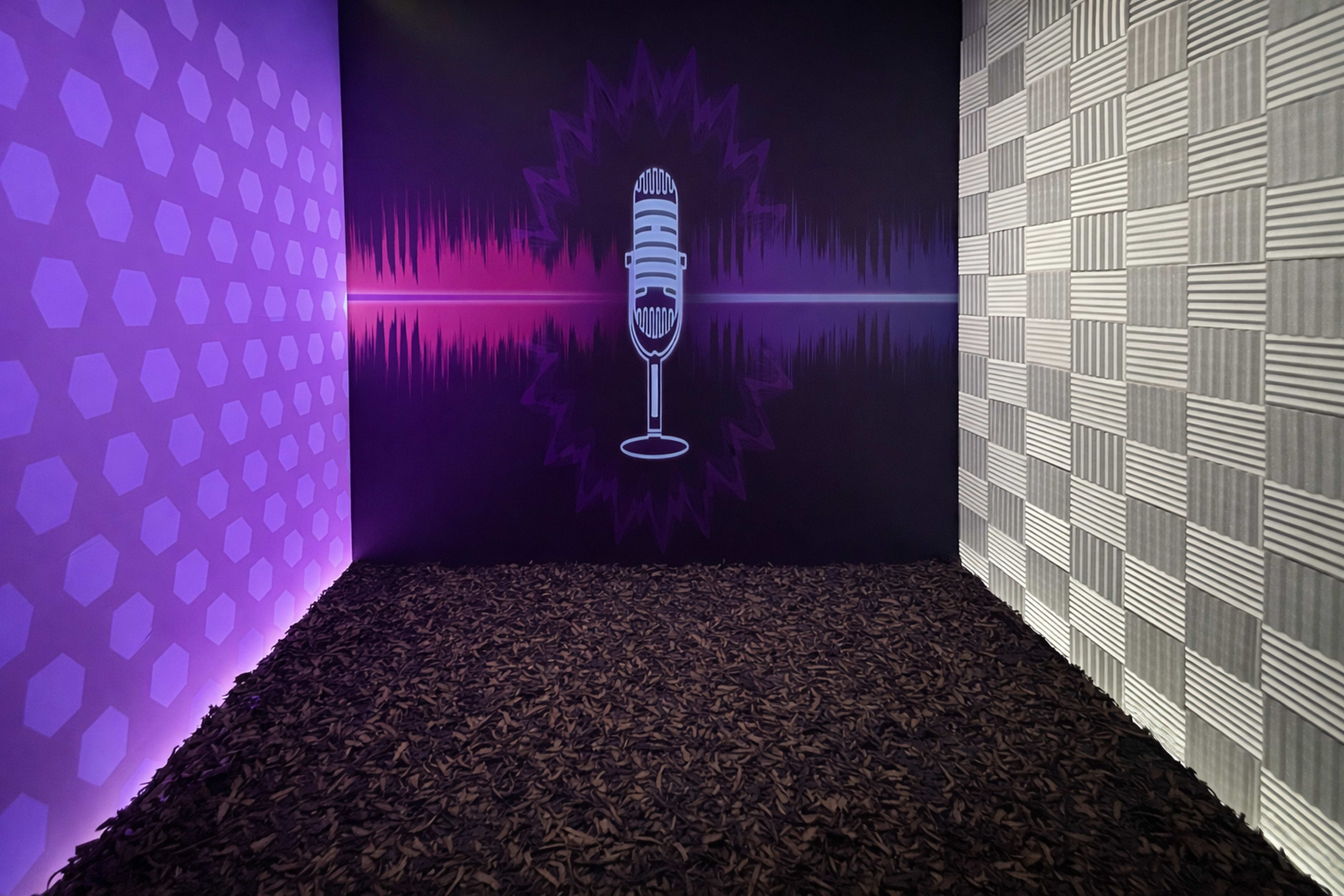 The image shows a soundproof booth with one wall featuring a microphone graphic and colorful soundwave design, while the opposite wall has a textured pattern.