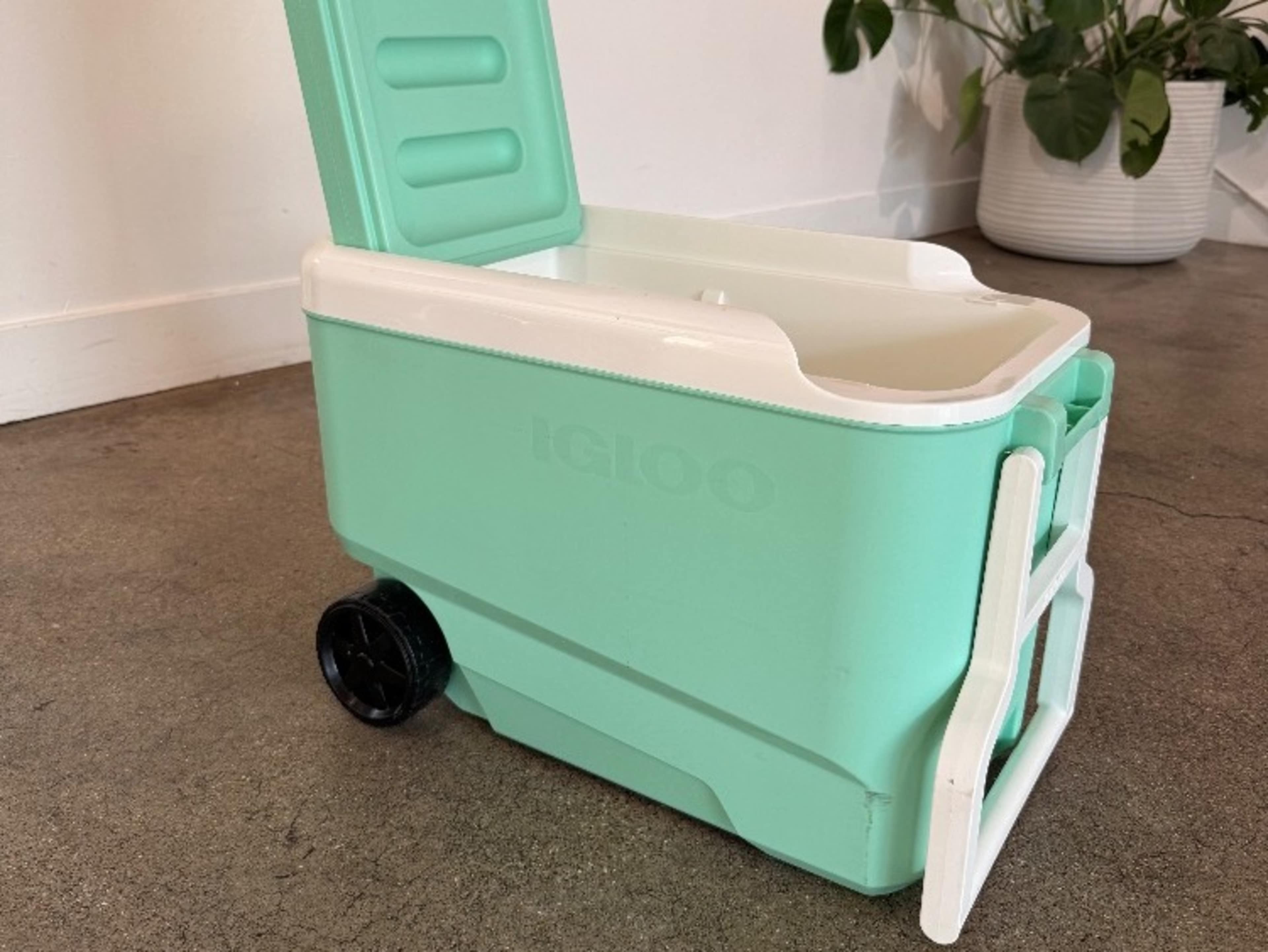 Igloo Cooler 
