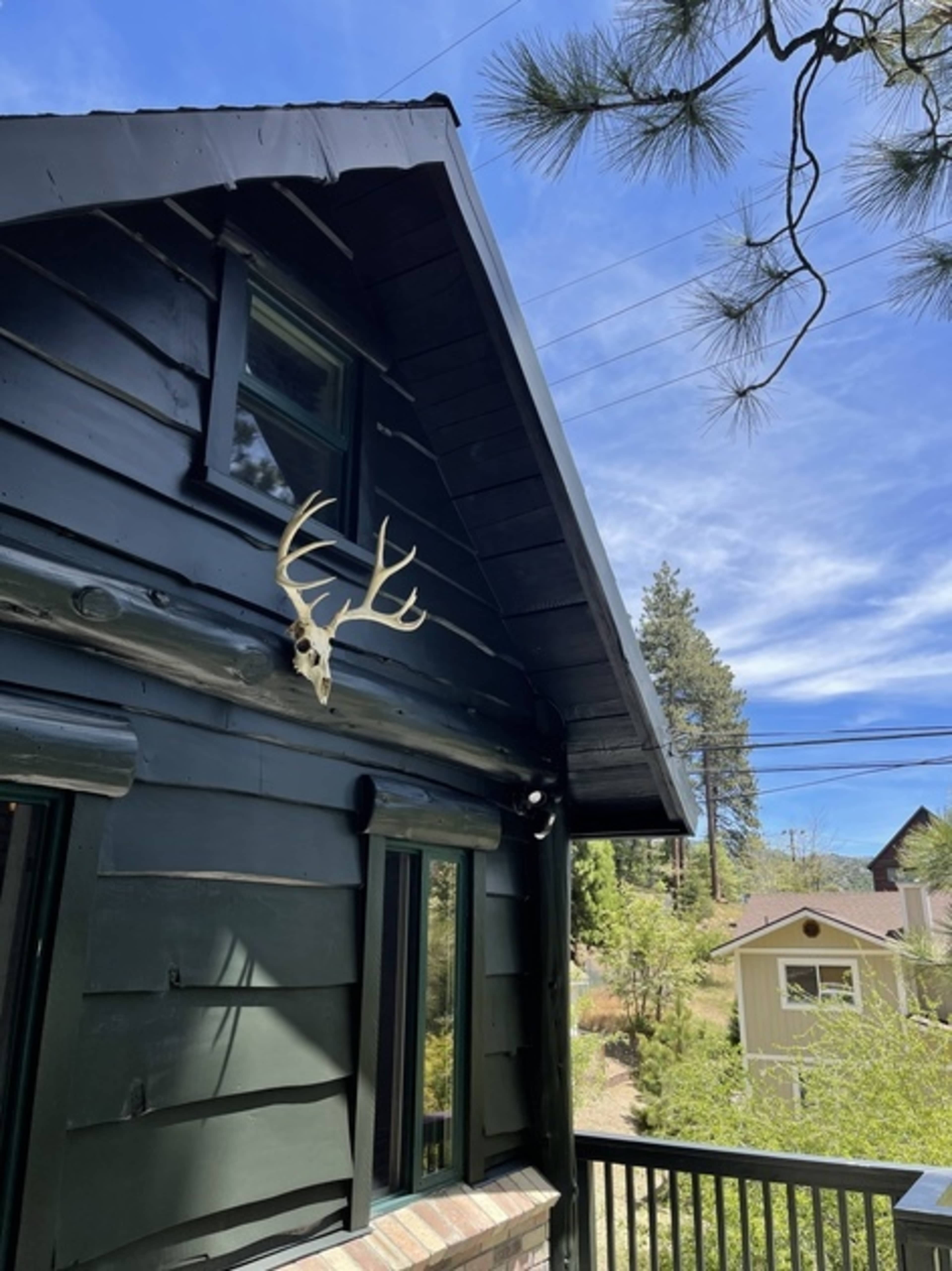 Magical Mountain Vintage Cabin Image in Running Springs, Running Springs, CA