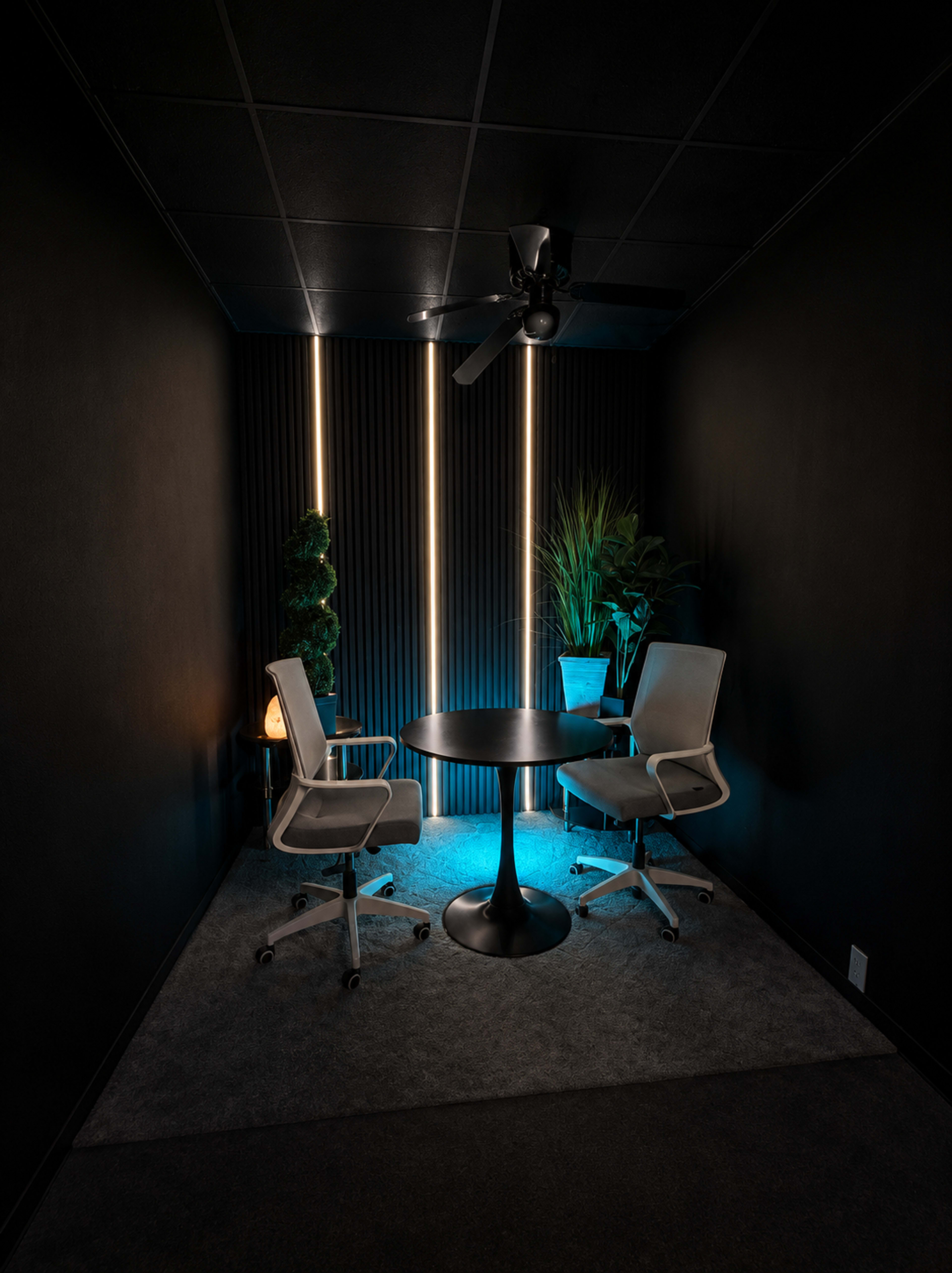 The image shows a small, dimly lit conference room featuring a round table with two chairs, along with indoor plants and a ceiling fan.