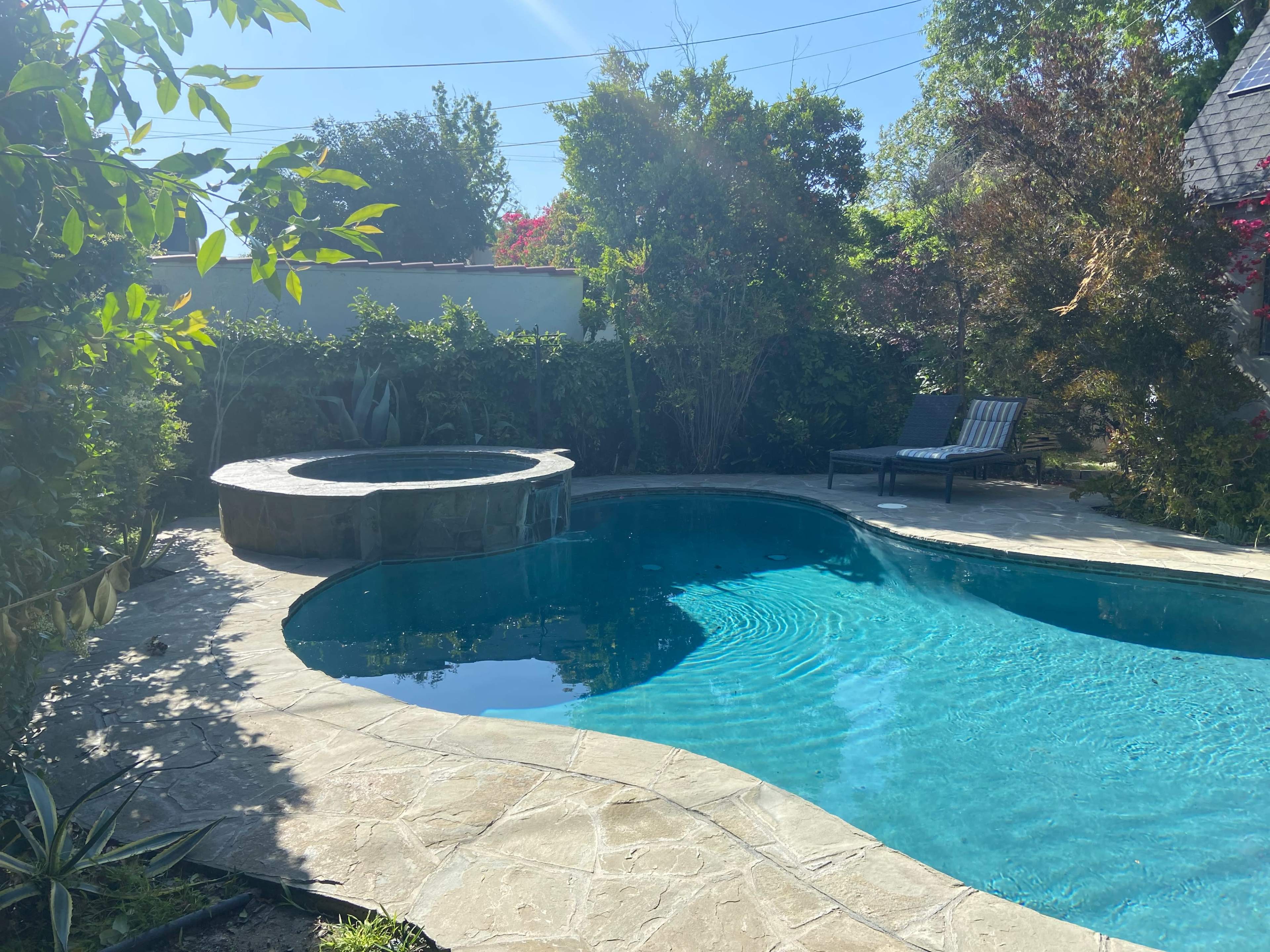 The image shows a landscaped backyard with a swimming pool, a spa, and a lounge chair surrounded by greenery.