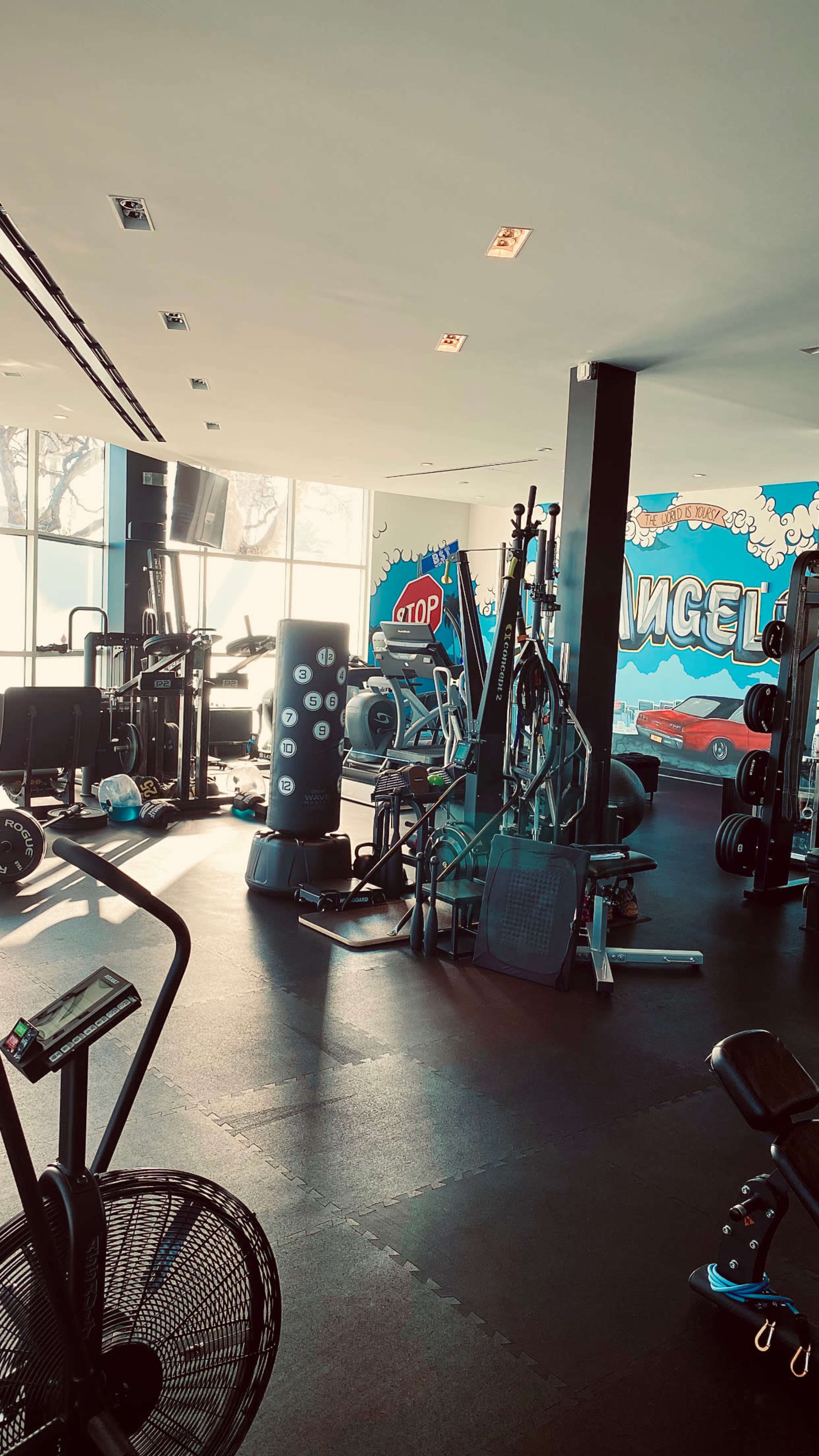 The image shows a well-equipped gym interior featuring various fitness machines, weights, and a colorful mural on the wall.
