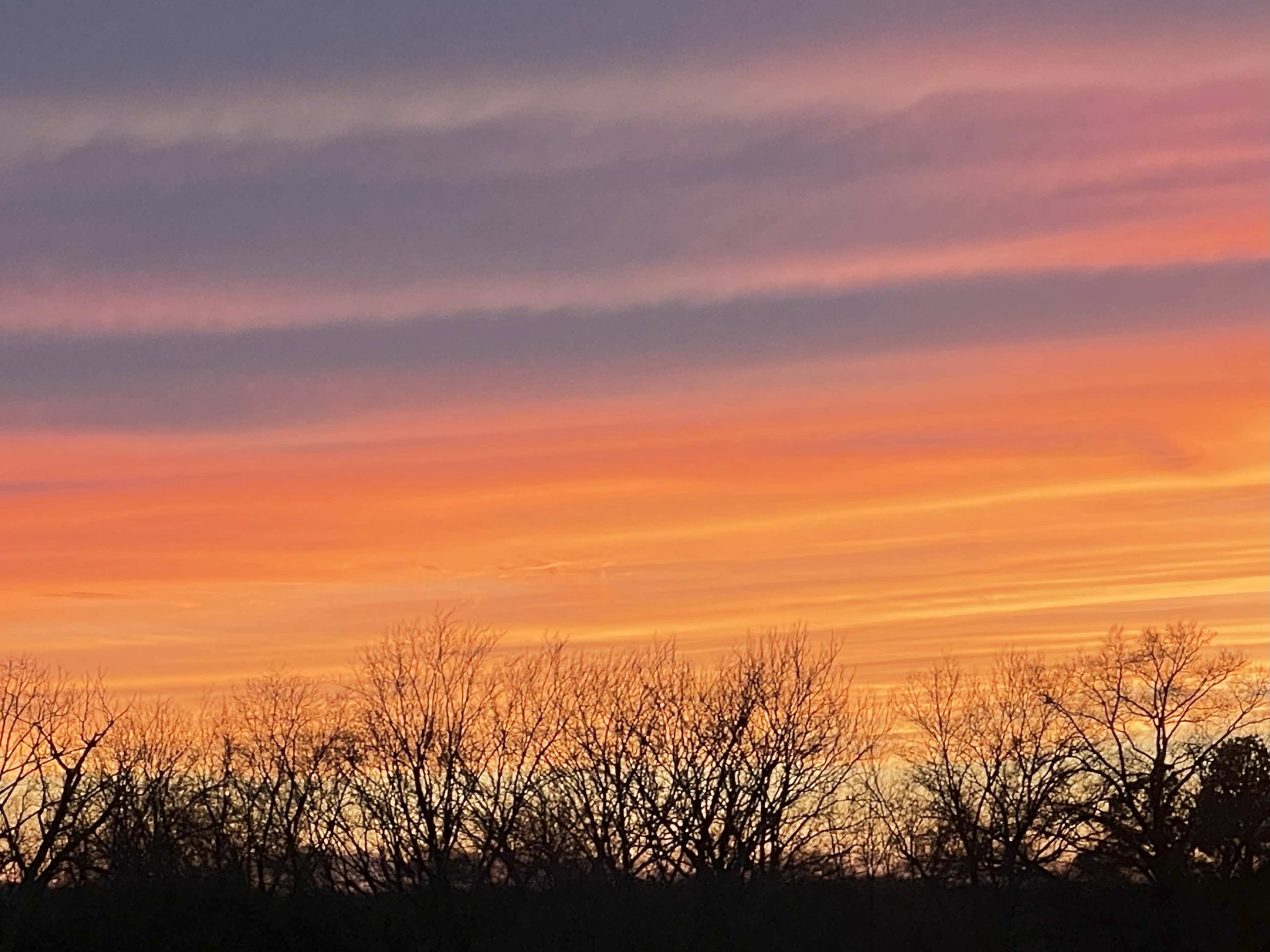 Potomac Paradise Image in , Fort Washington, MD