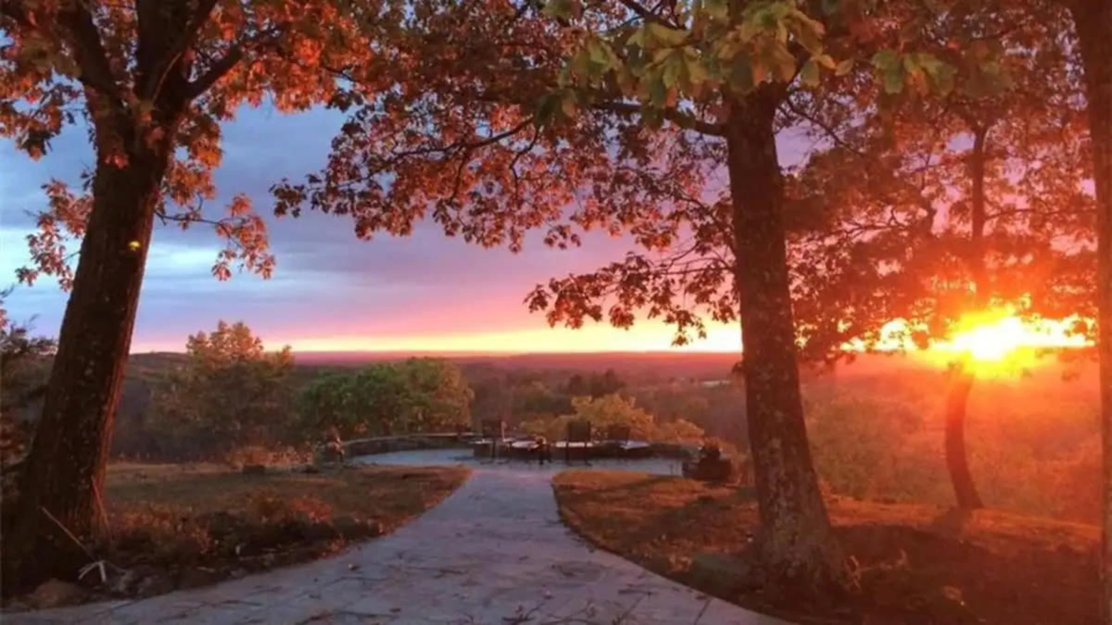The scene shows a sunset view framed by two trees, with a stone path leading towards a distant horizon filled with vibrant colors.