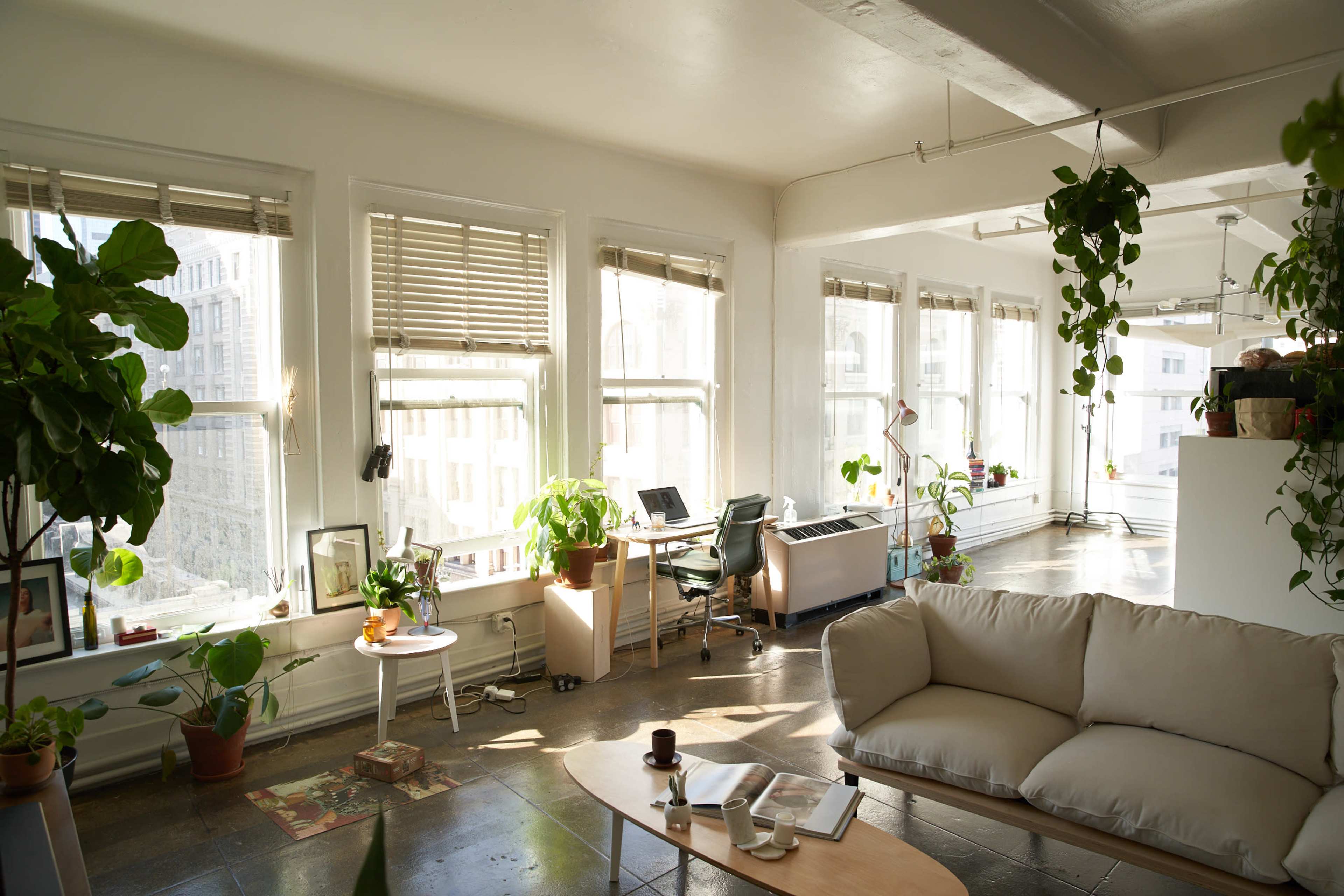 A bright and airy apartment features large windows, plants, a beige couch, and a work desk.