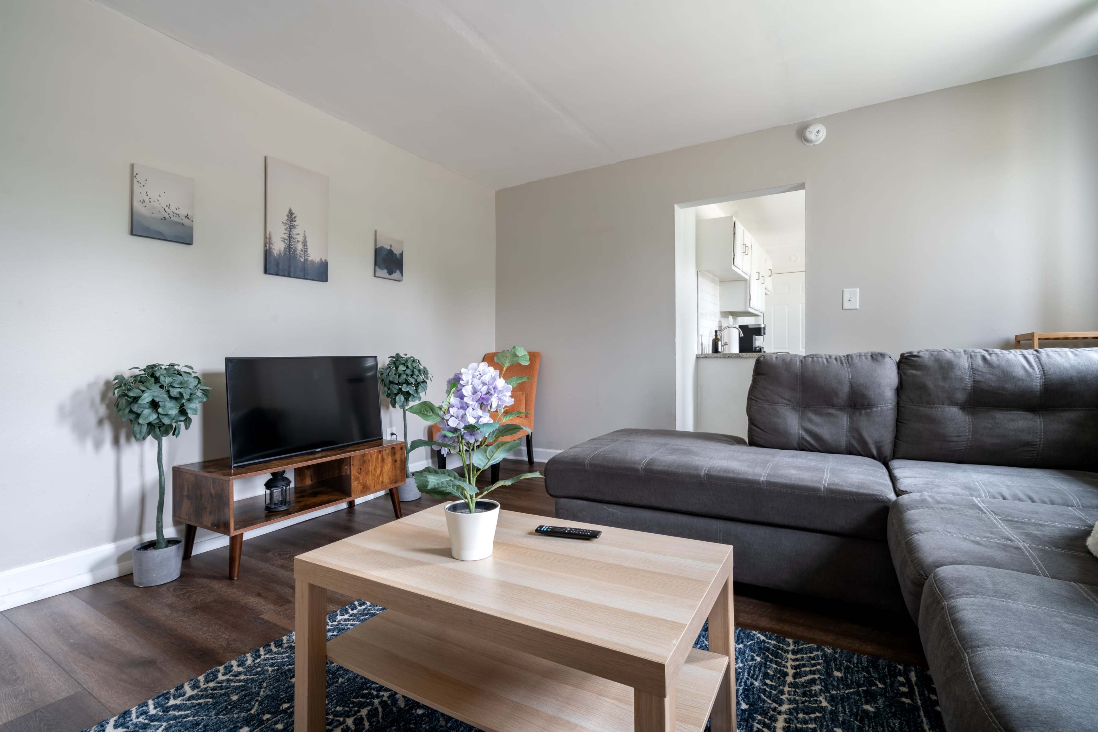The image shows a living room featuring a gray sofa, a wooden coffee table with a potted plant, a television on a stand, and access to a kitchen area in the background.