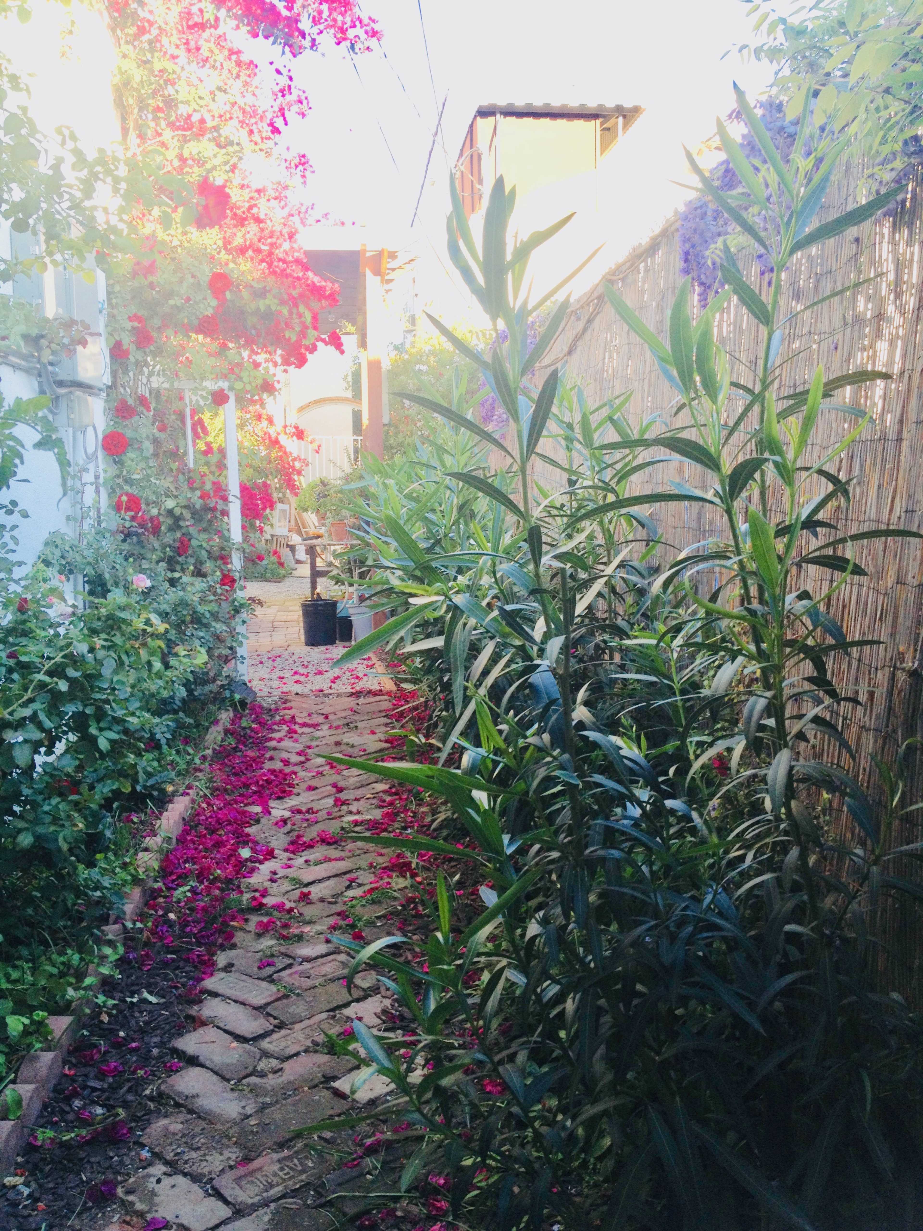 A narrow stone pathway lined with lush green plants and colorful flowers leads through a garden.